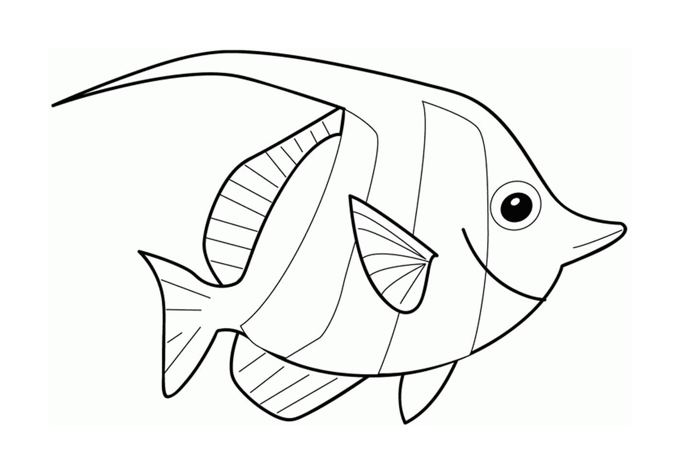  Um peixe 