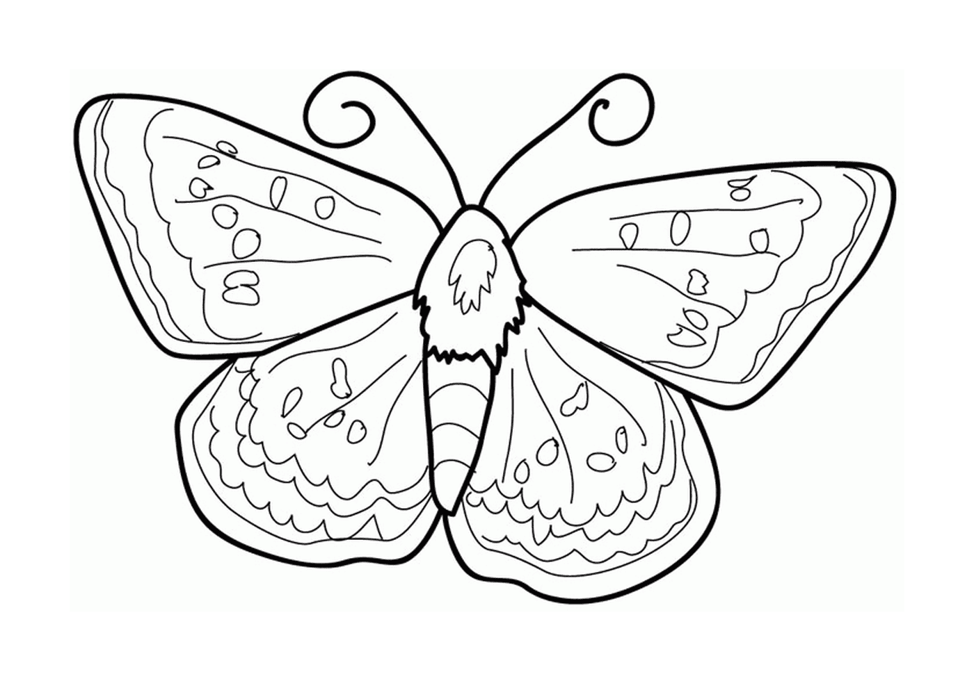  Uma borboleta 