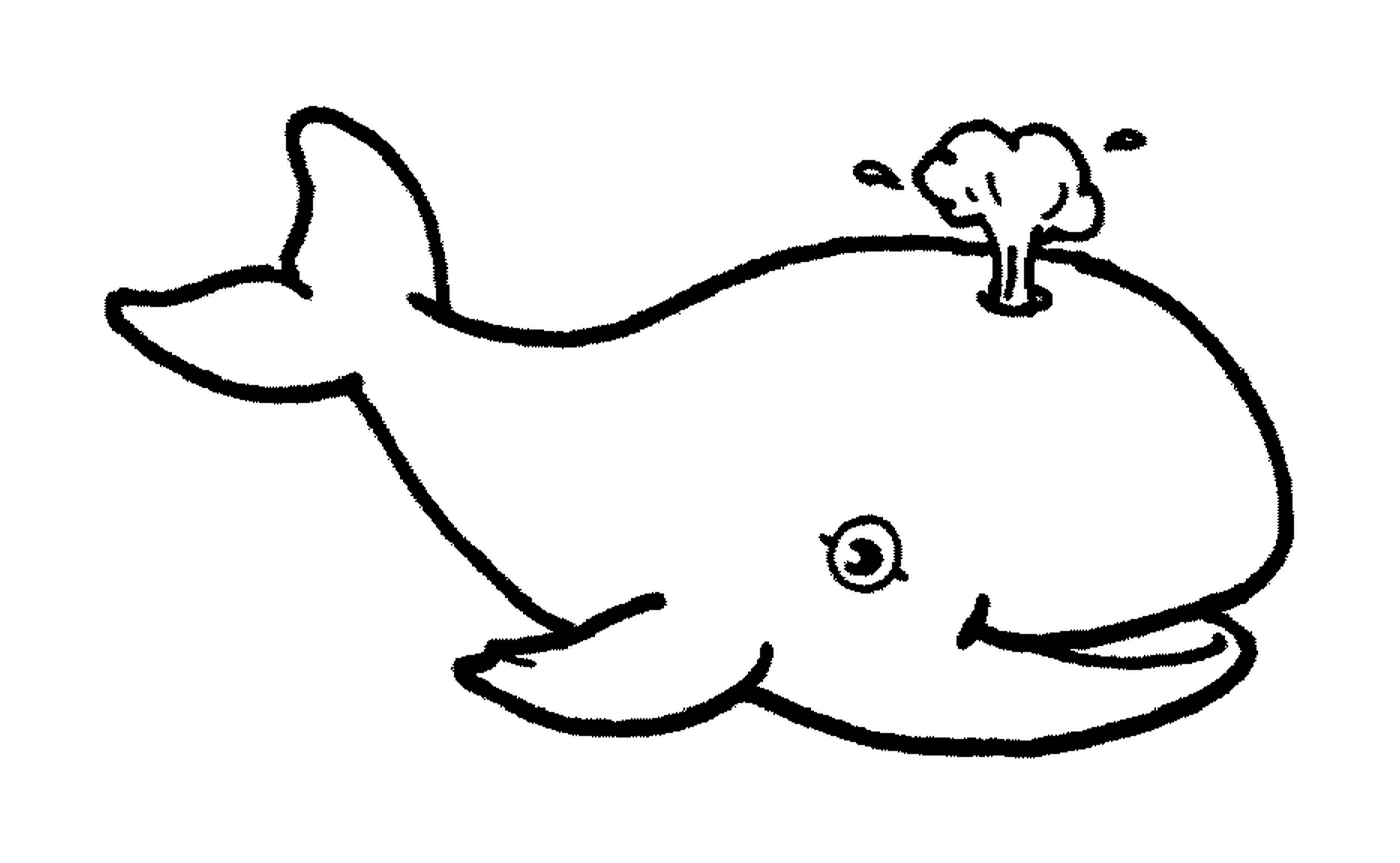  Uma baleia e um urso 
