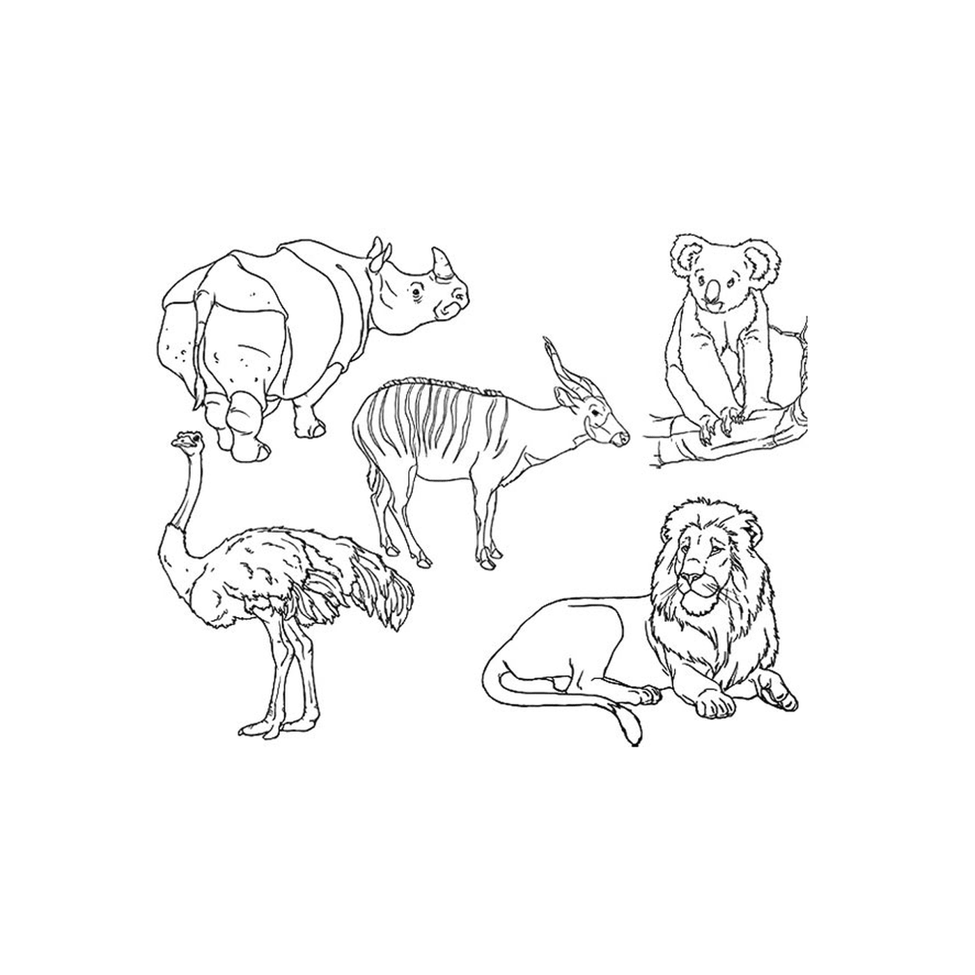  Um grupo de animais desenhados 