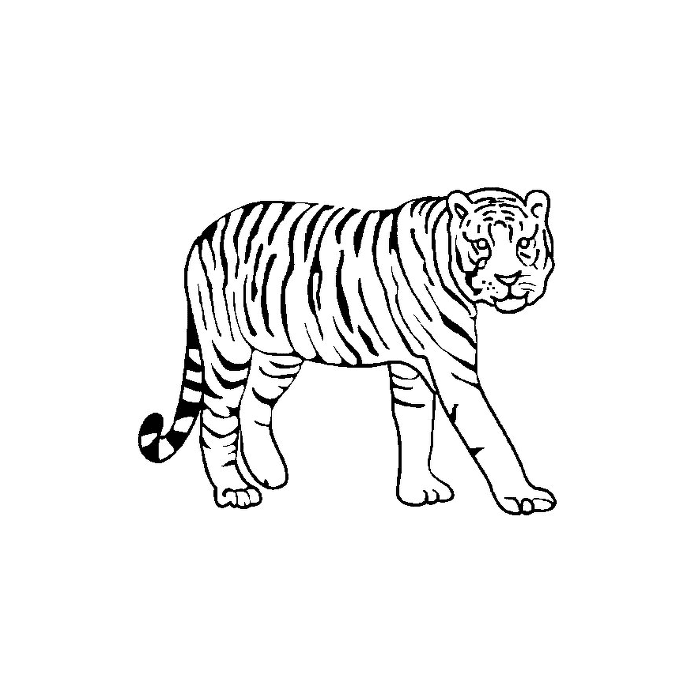  एक बाघ 