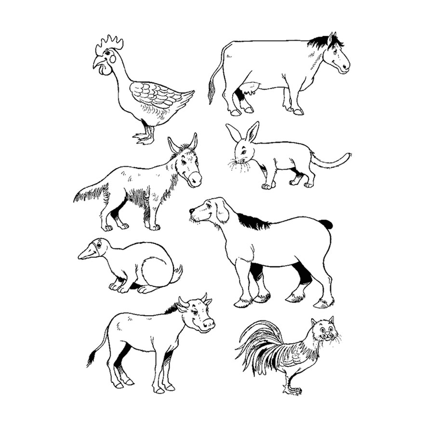  Um conjunto de animais de fazenda 