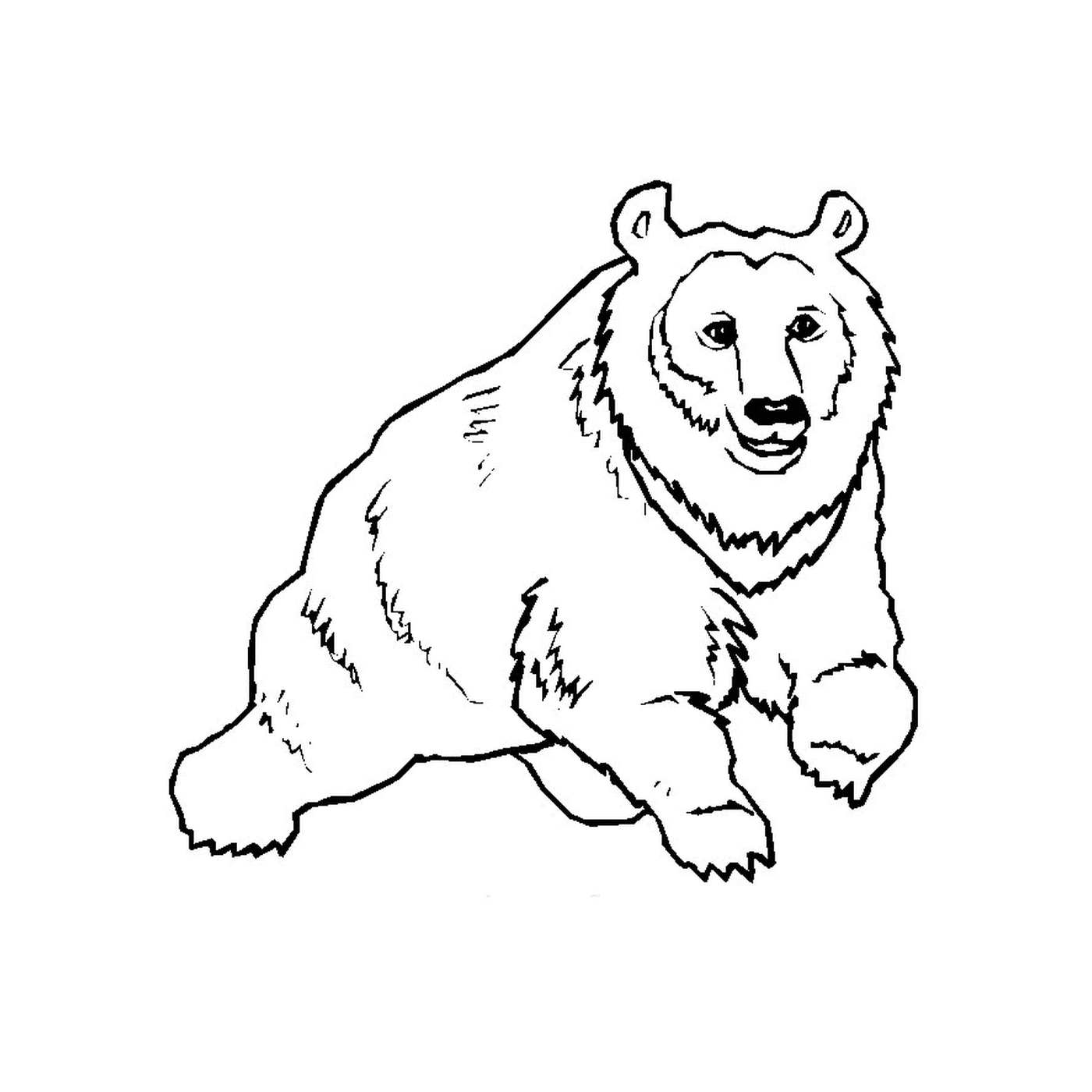  熊熊 