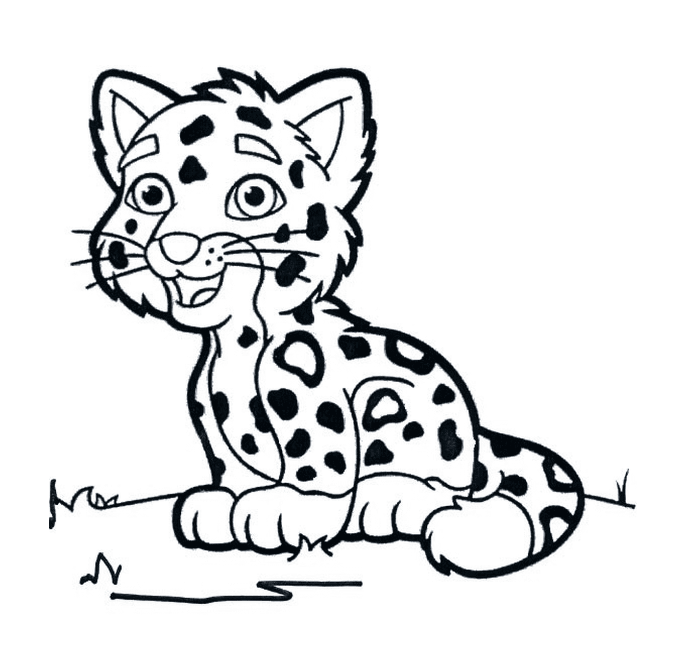  um jovem leopardo 