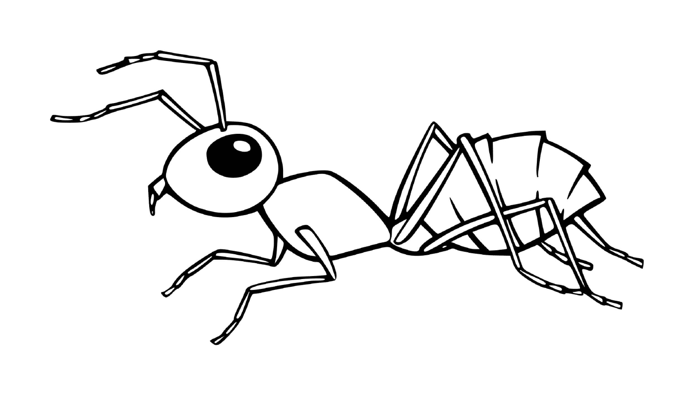 formiga preta no fundo branco
