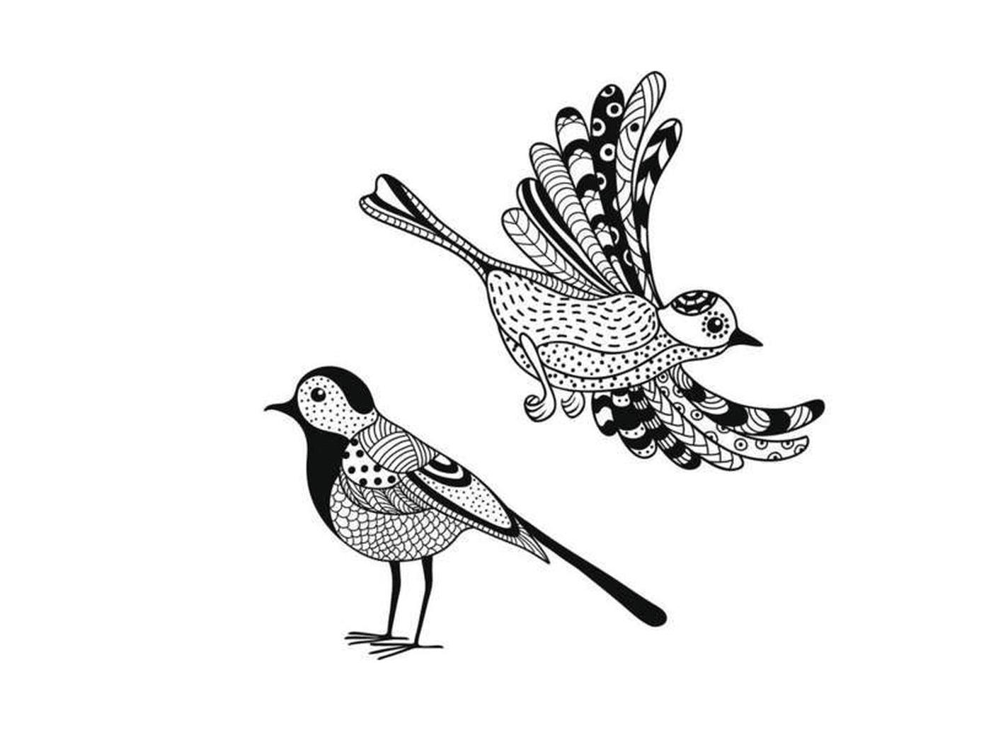  dois desenhos em preto e branco de um pássaro 