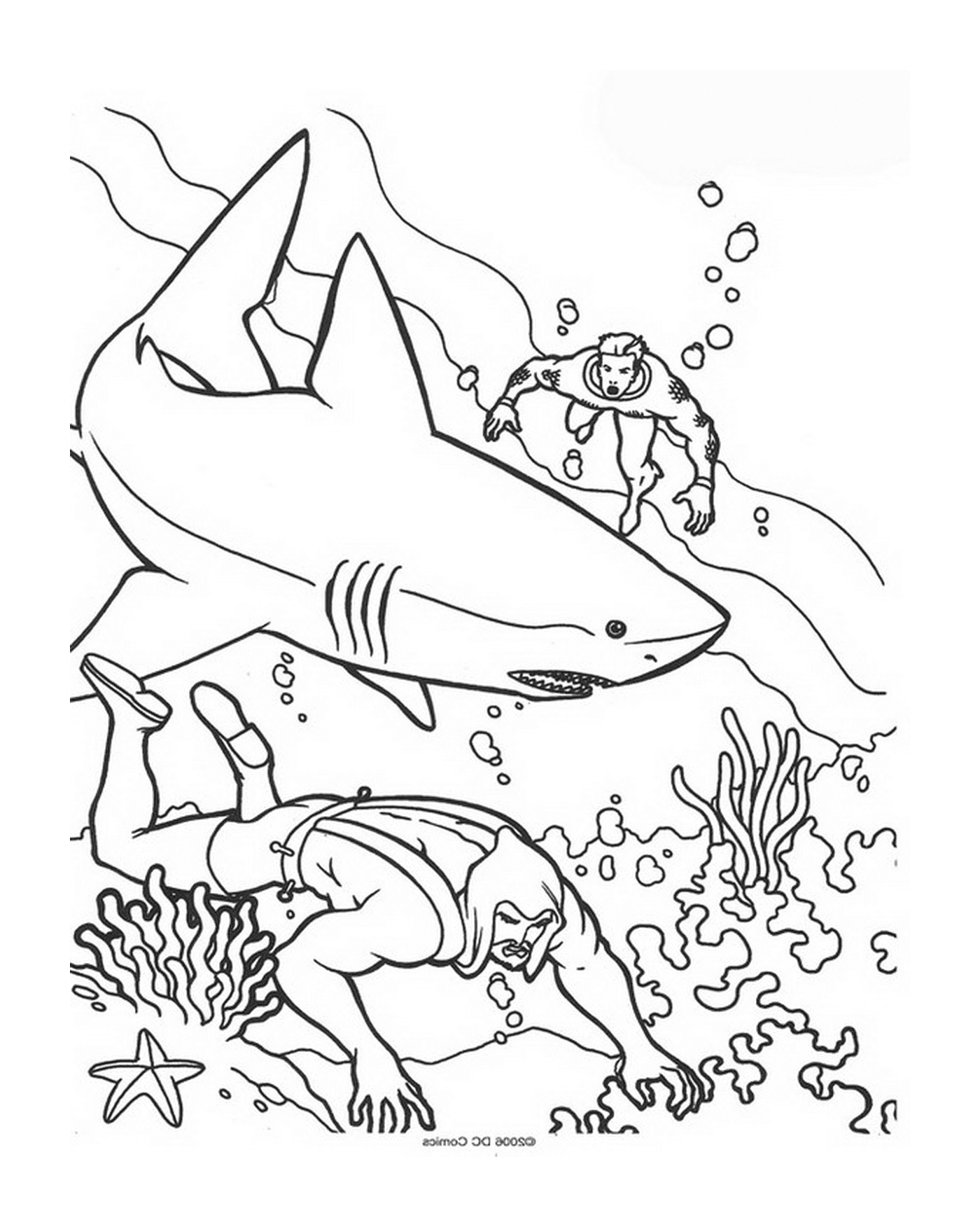  Um homem e uma mulher nadando no oceano com tubarões 