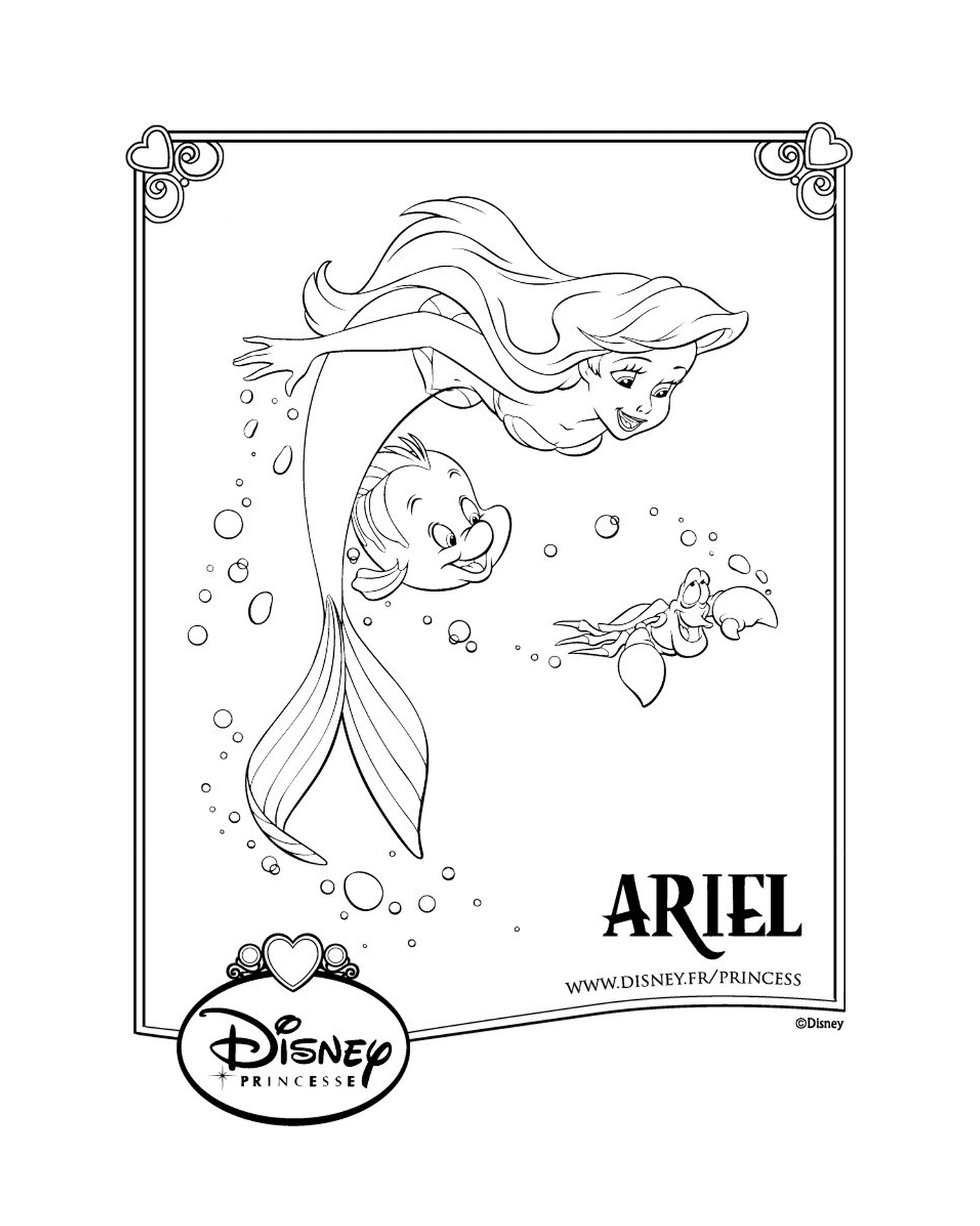  Ariel, a pequena sereia da Disney, princesa 