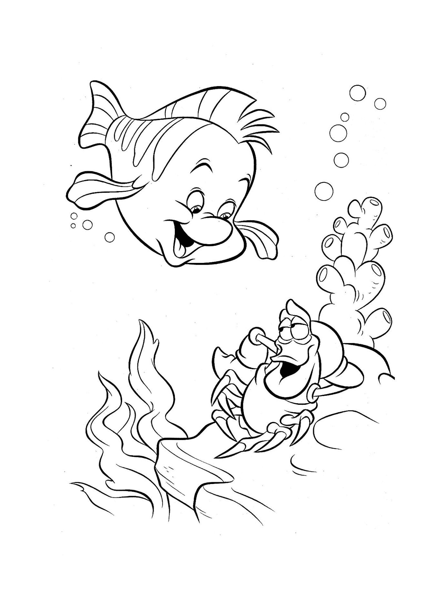  Um peixe e um caranguejo nadam juntos 