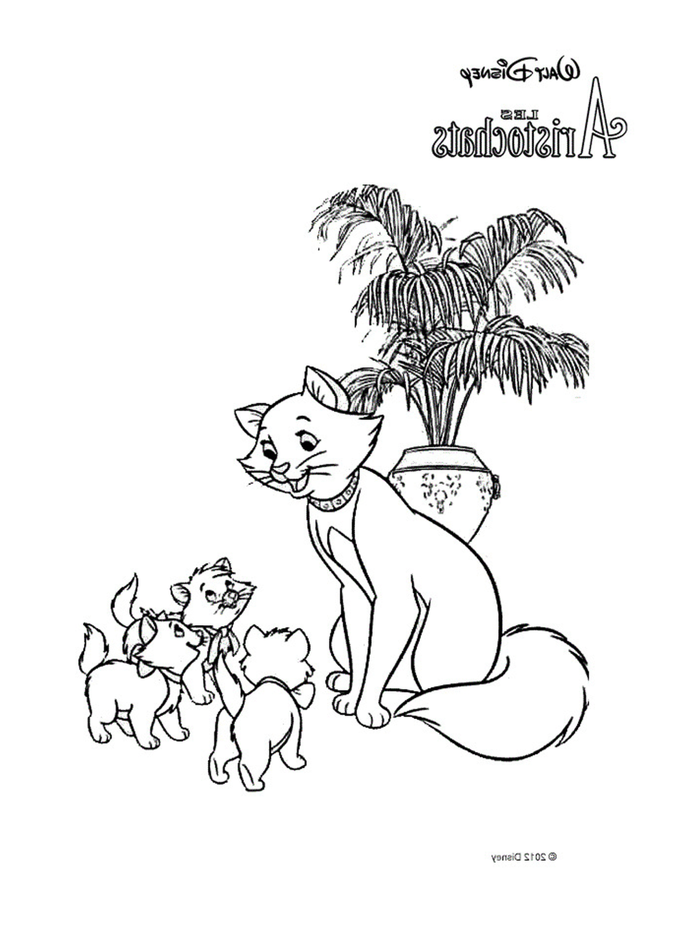  Um gato adulto e dois gatinhos pequenos na frente de uma palmeira em vaso 