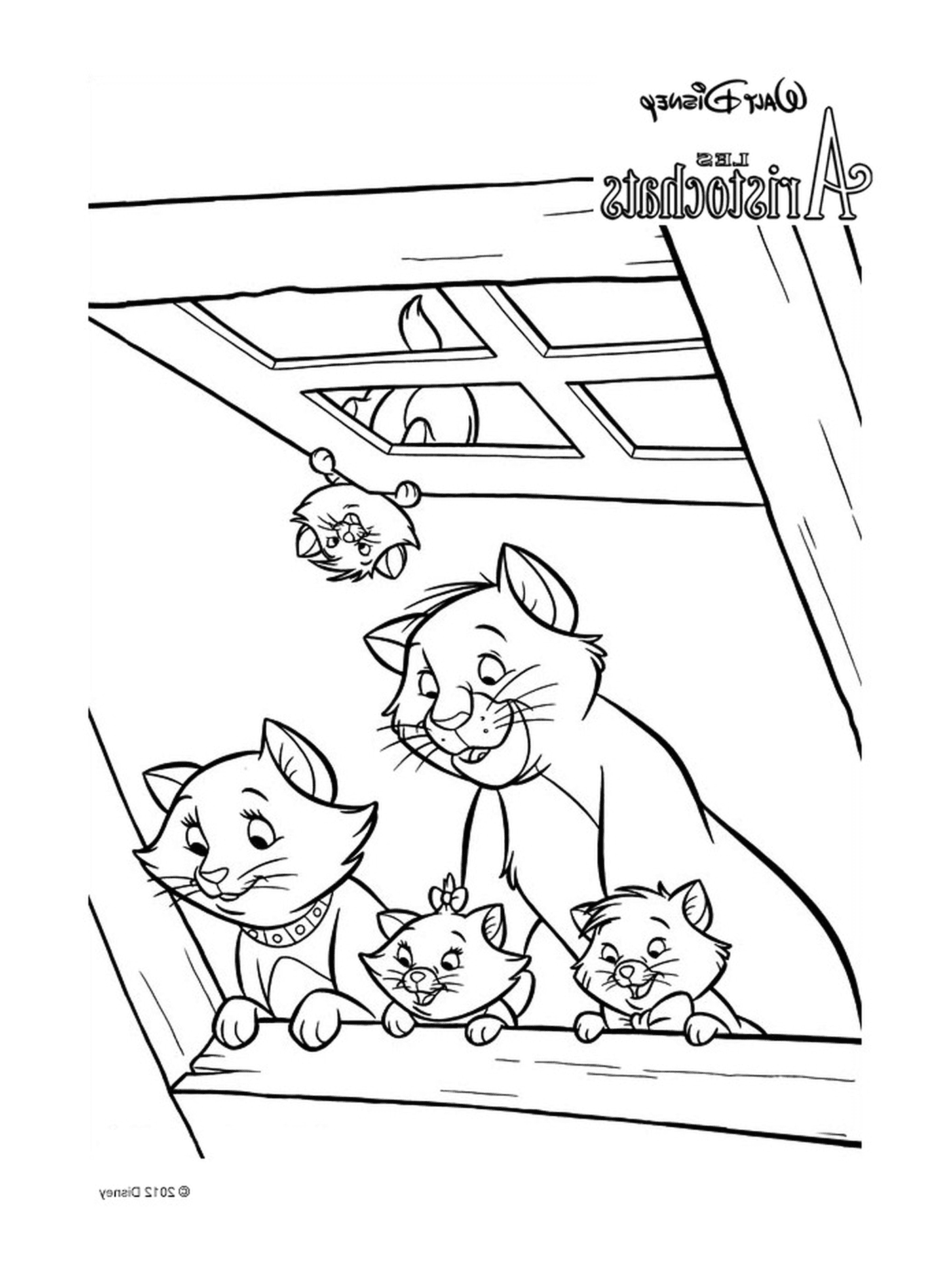  Um grupo de gatos sentados no telhado de um edifício 