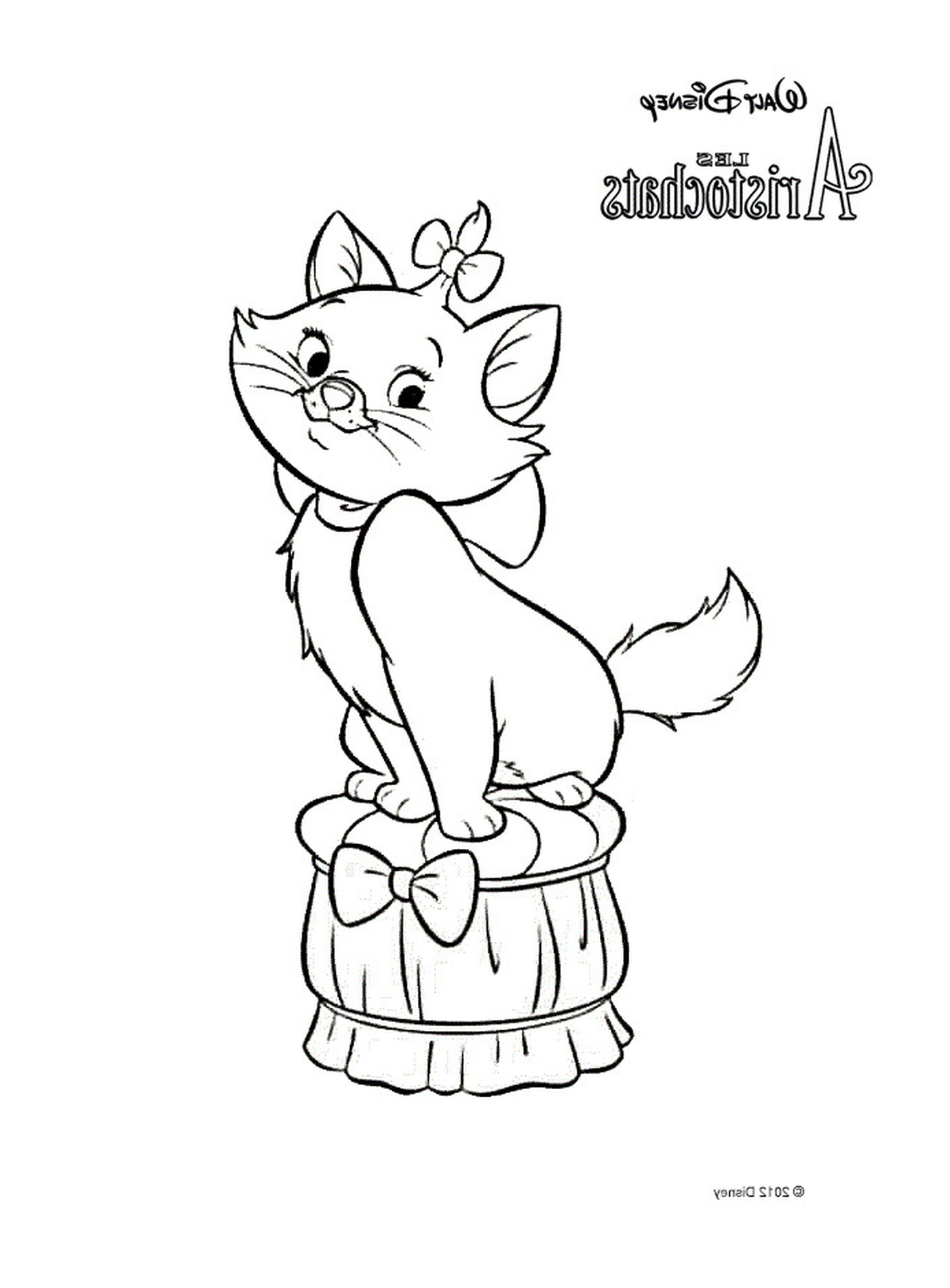  Um gato sentado em um barril 