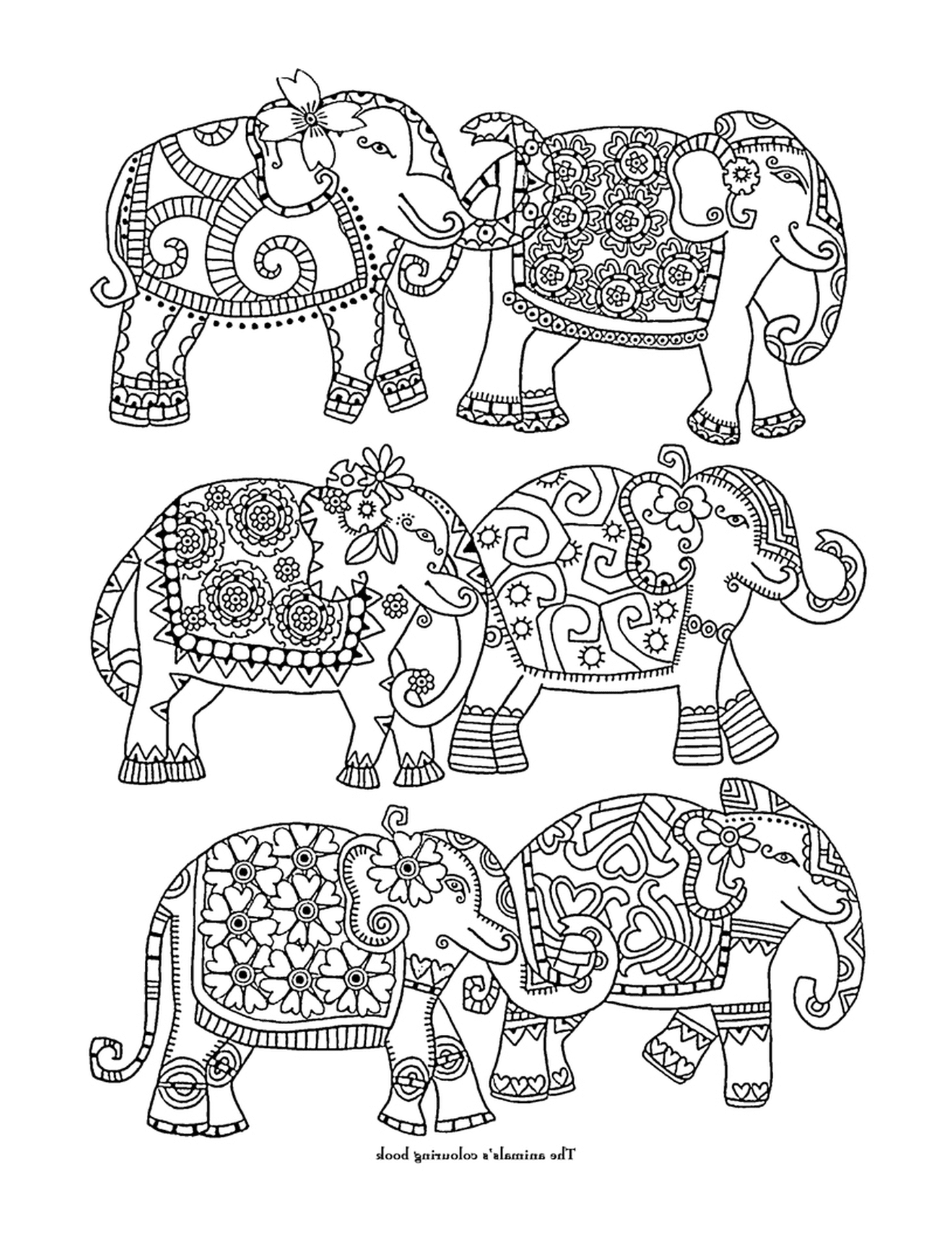  Um conjunto de seis elefantes diferentes 