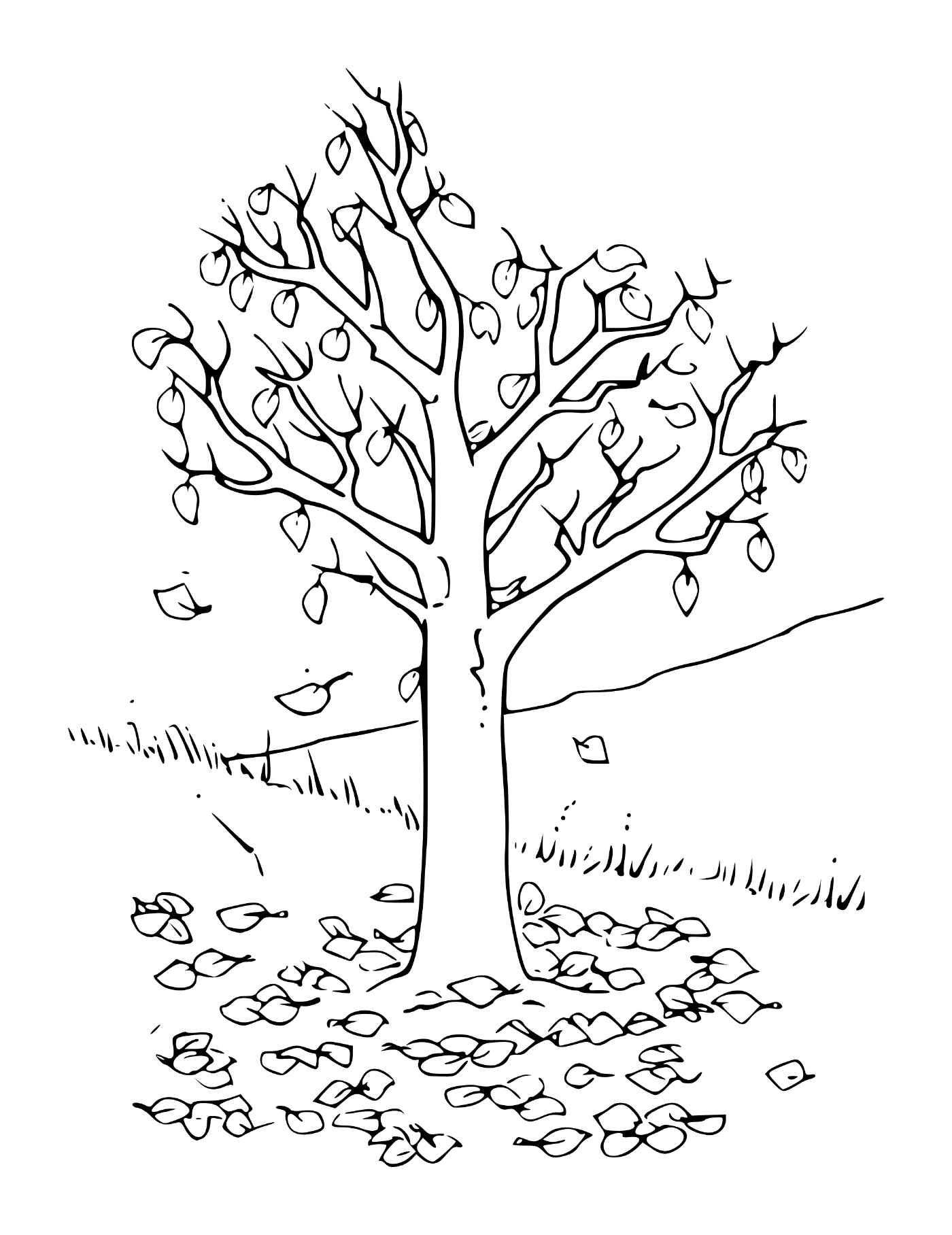  有叶子的秋树 