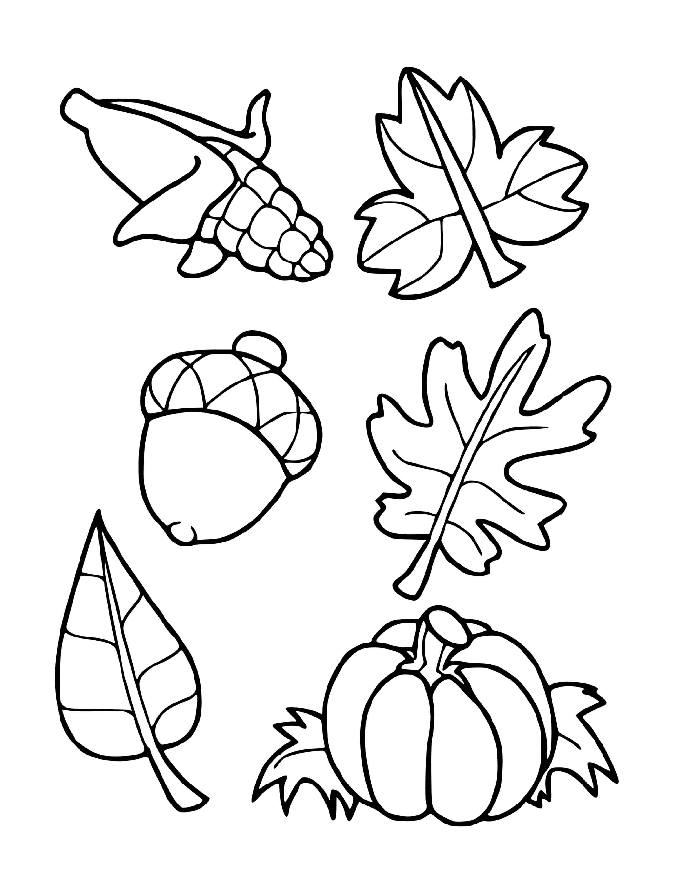  Seis folhas diferentes desenhadas 