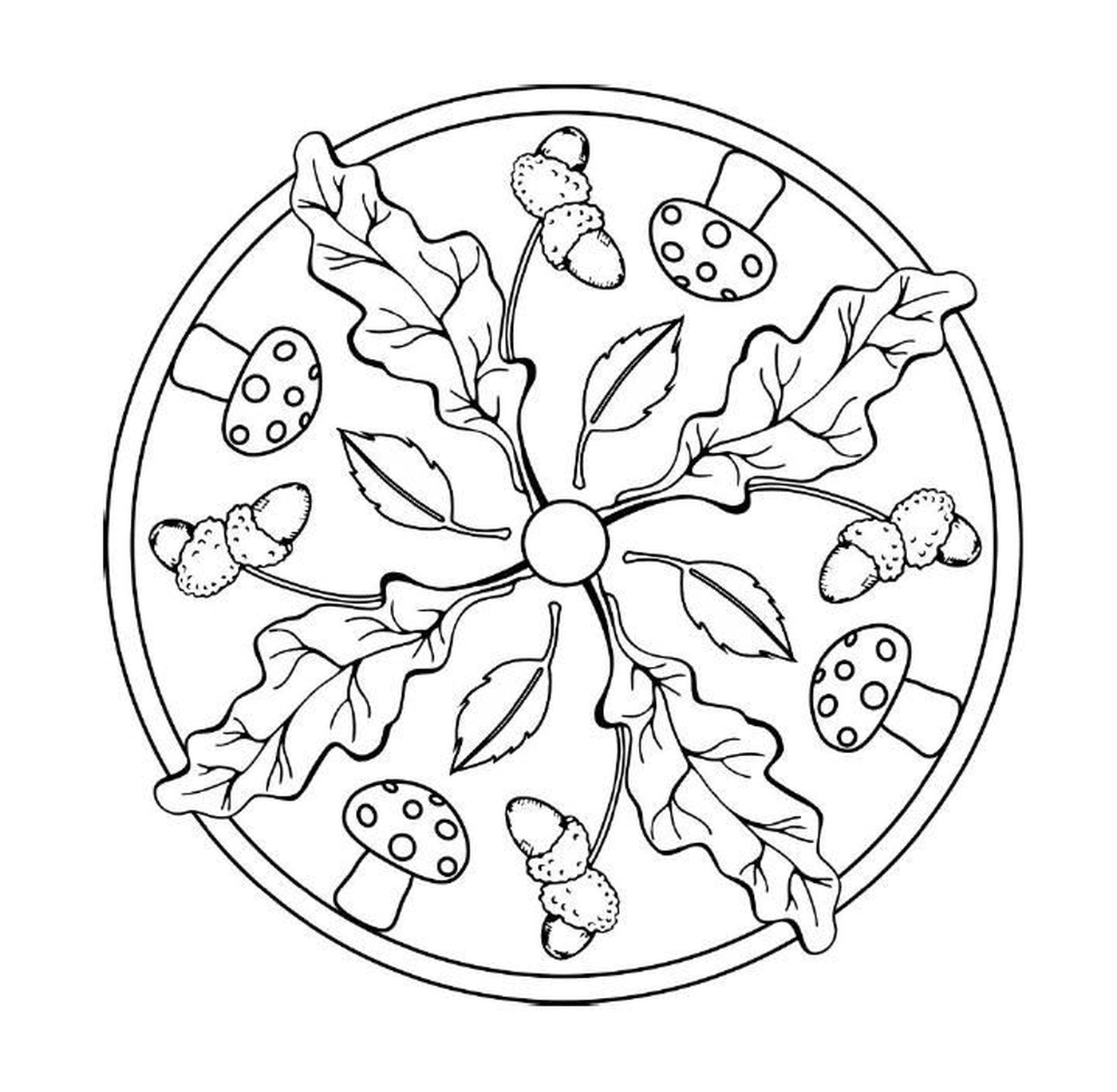  Um círculo de folhas e cogumelos 