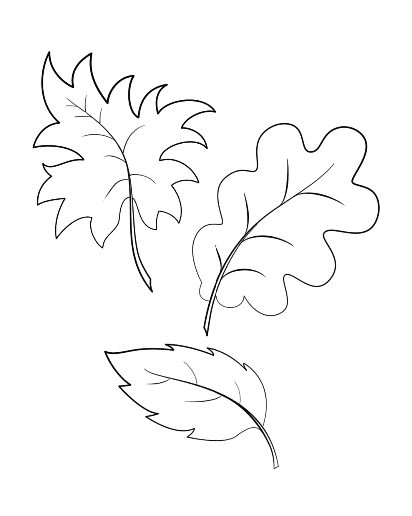  Três folhas desenhadas 