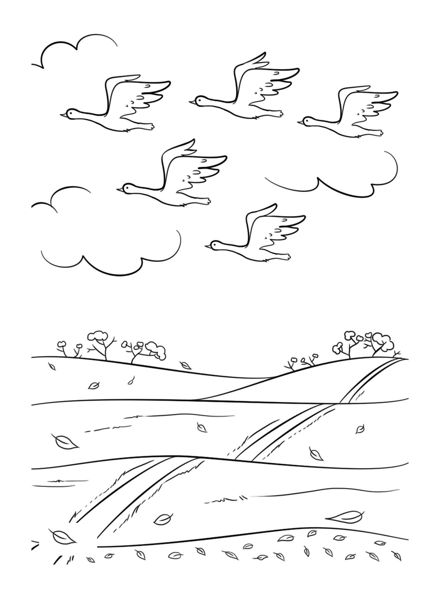  Um grupo de pássaros voando sobre um campo 