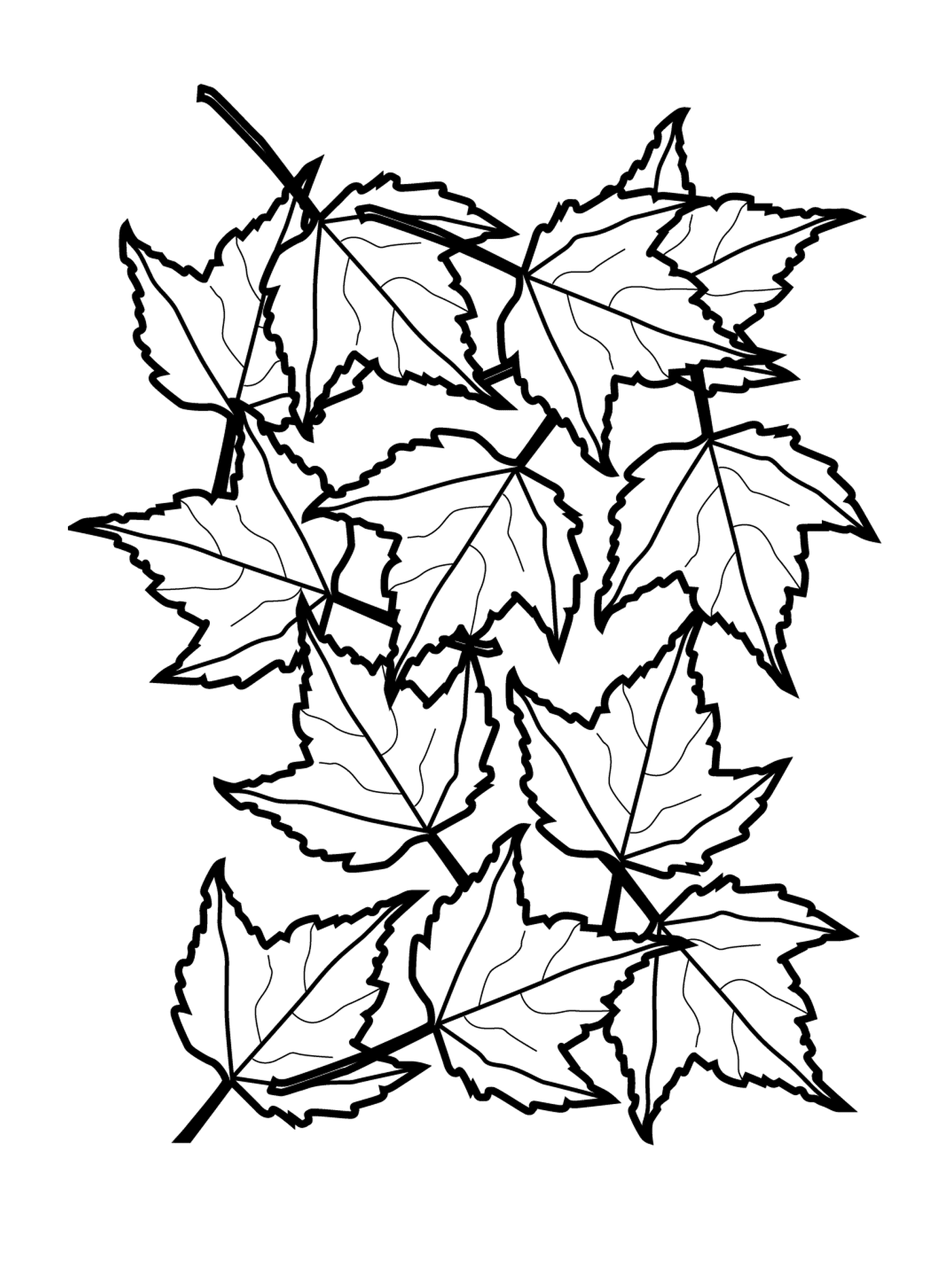  Uma linha de folhas caindo 