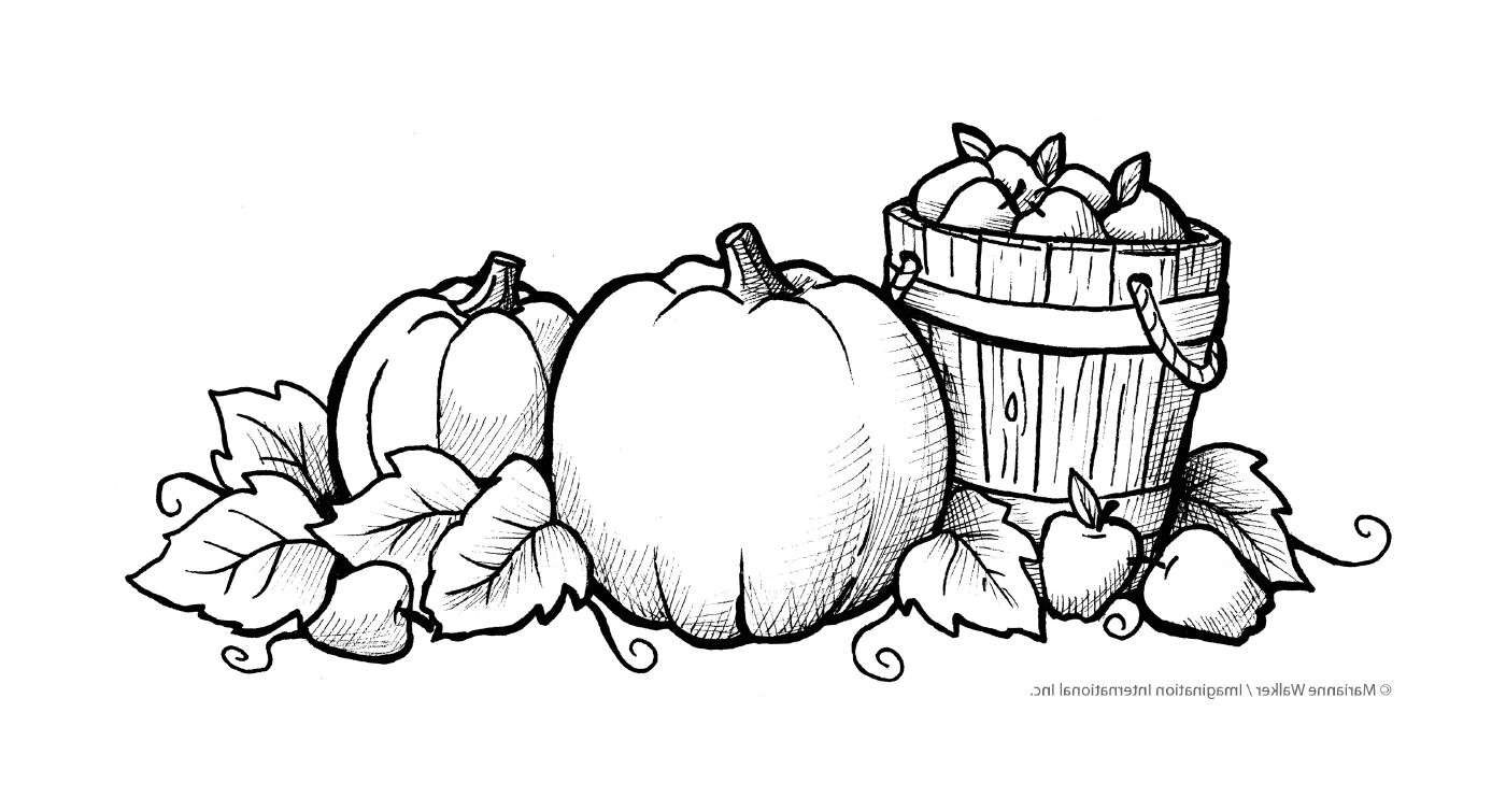  Uma abóbora e uma cesta de maçã 