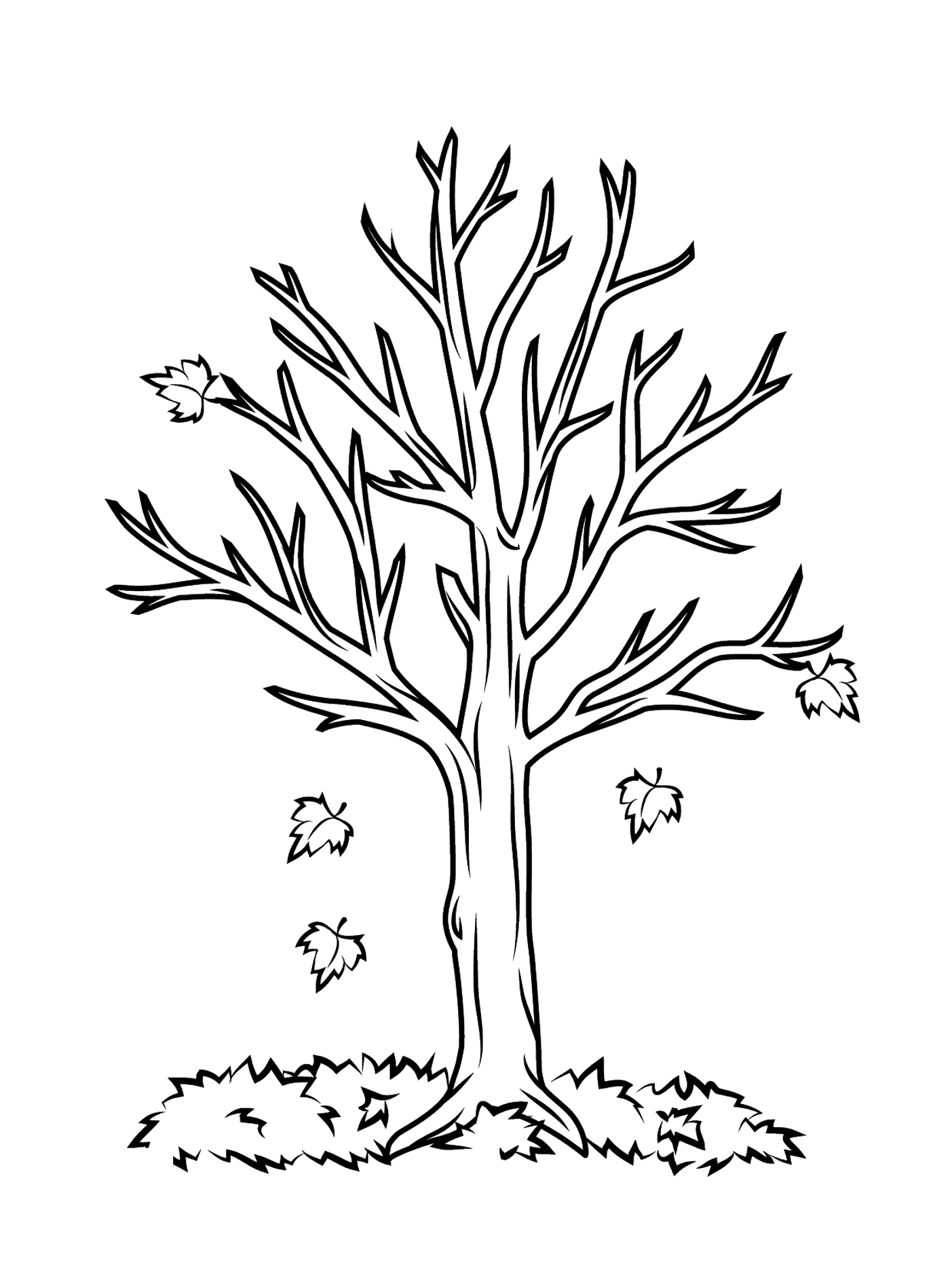  Uma árvore nua 