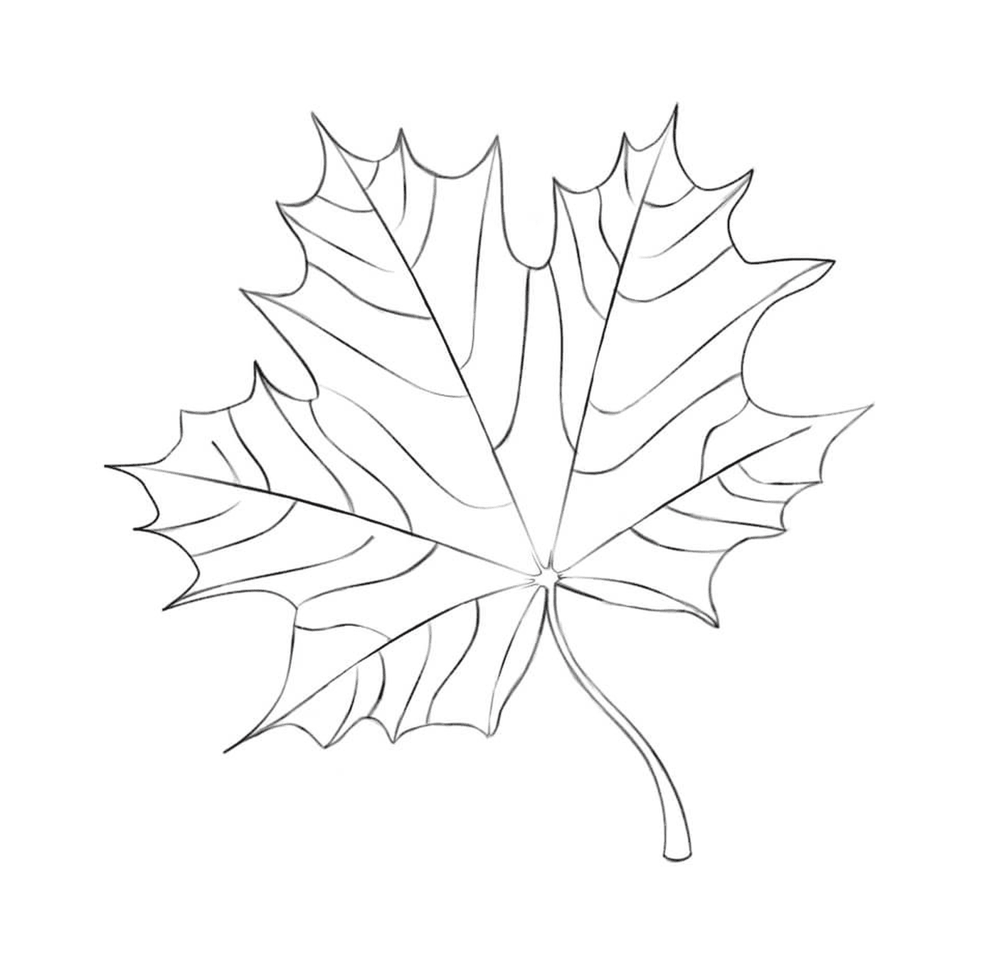  Uma folha de bordo desenhada 