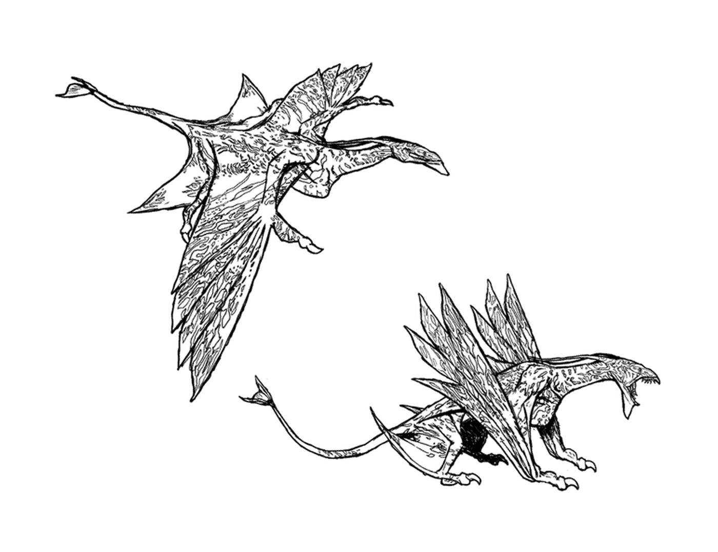  Dois desenhos de um dragão de asas espaçadas 