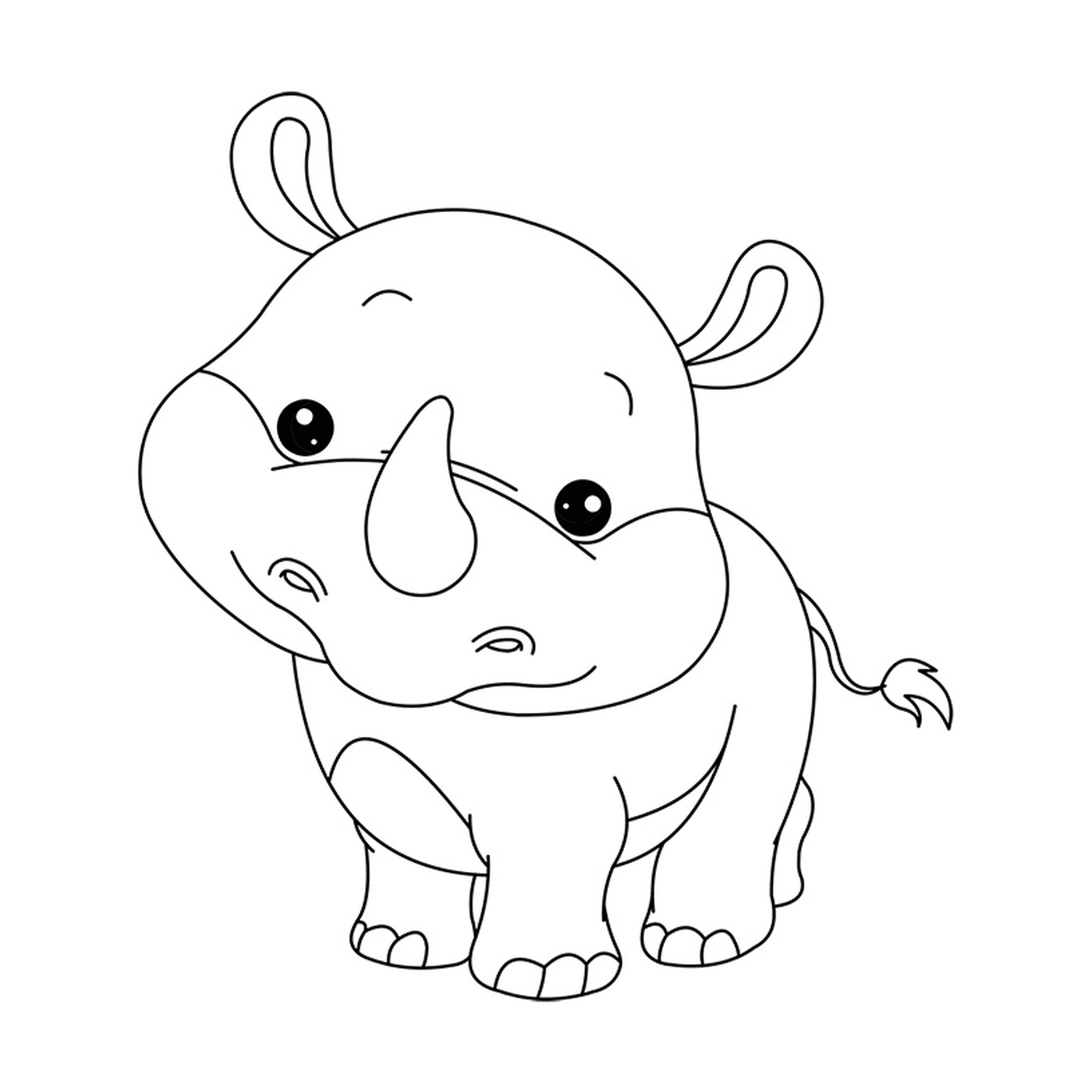  一只婴儿犀牛在看镜头 