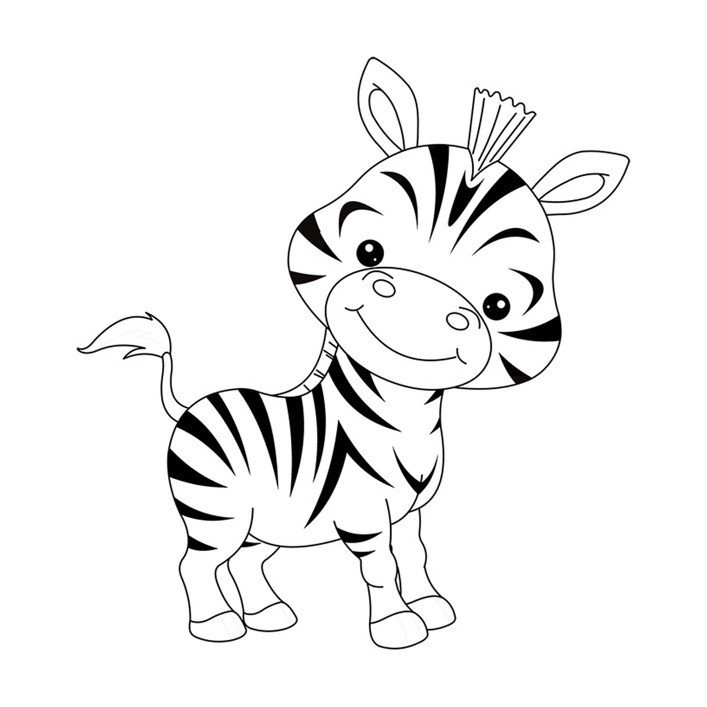  Um bebê zebra divertido 
