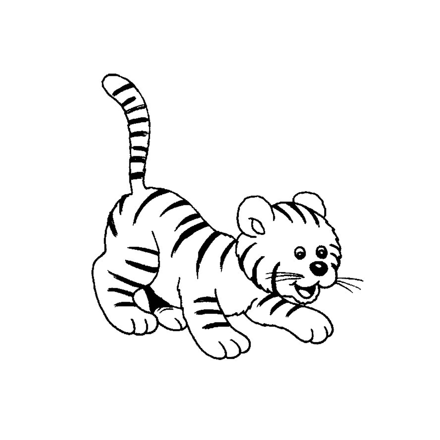  一只婴儿老虎 