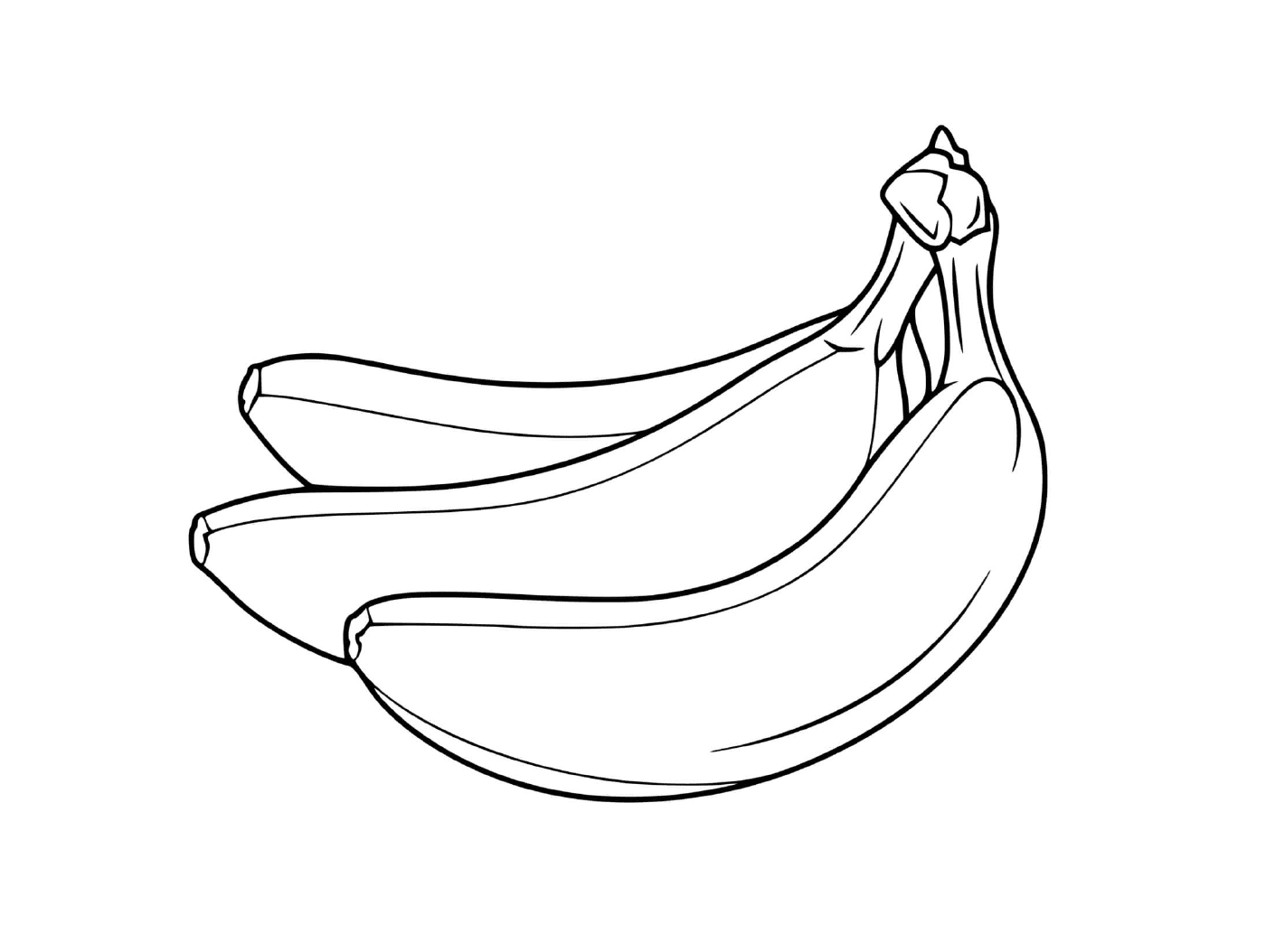  Duas bananas em um fundo branco 