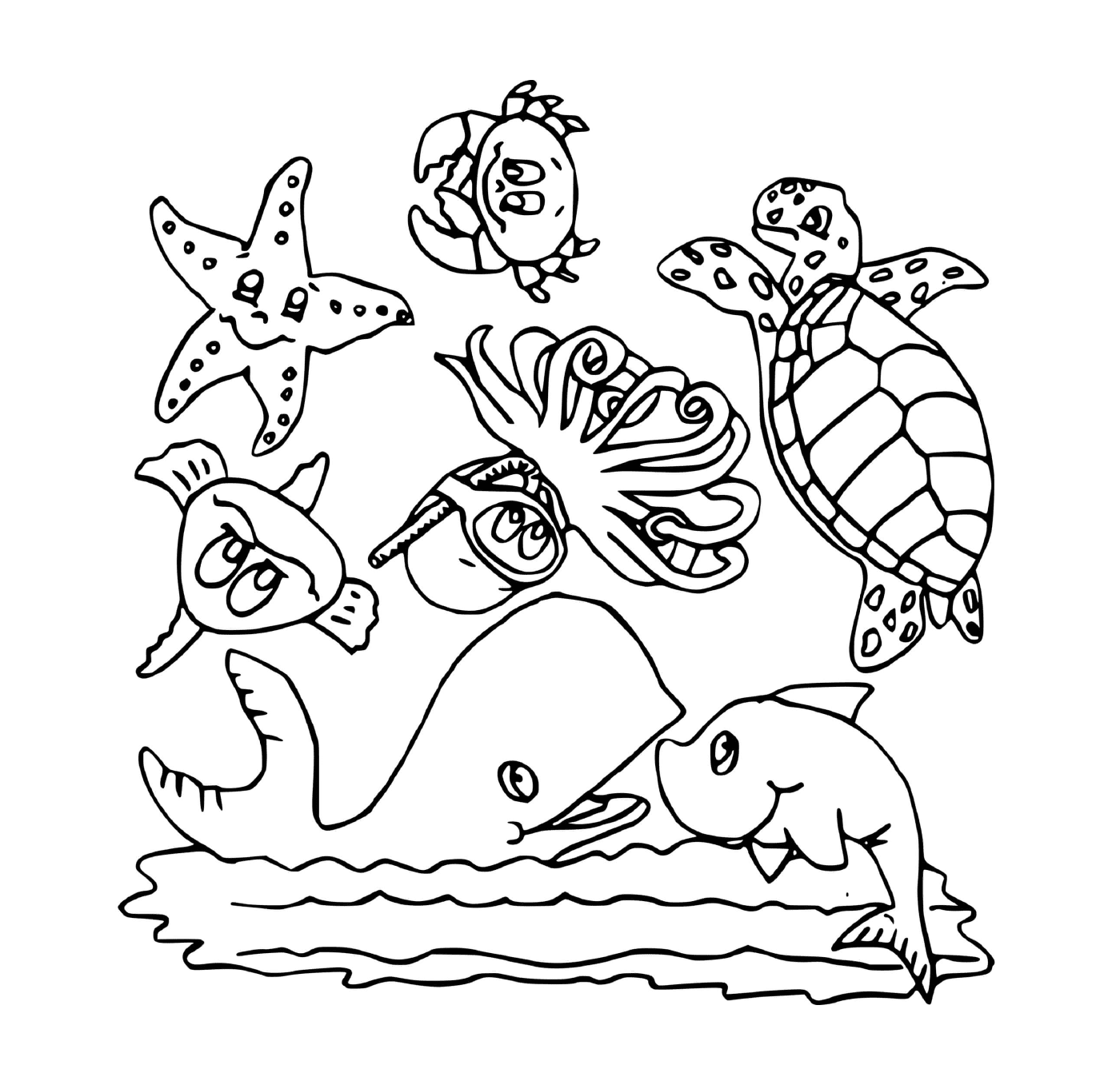  Vários animais marinhos 