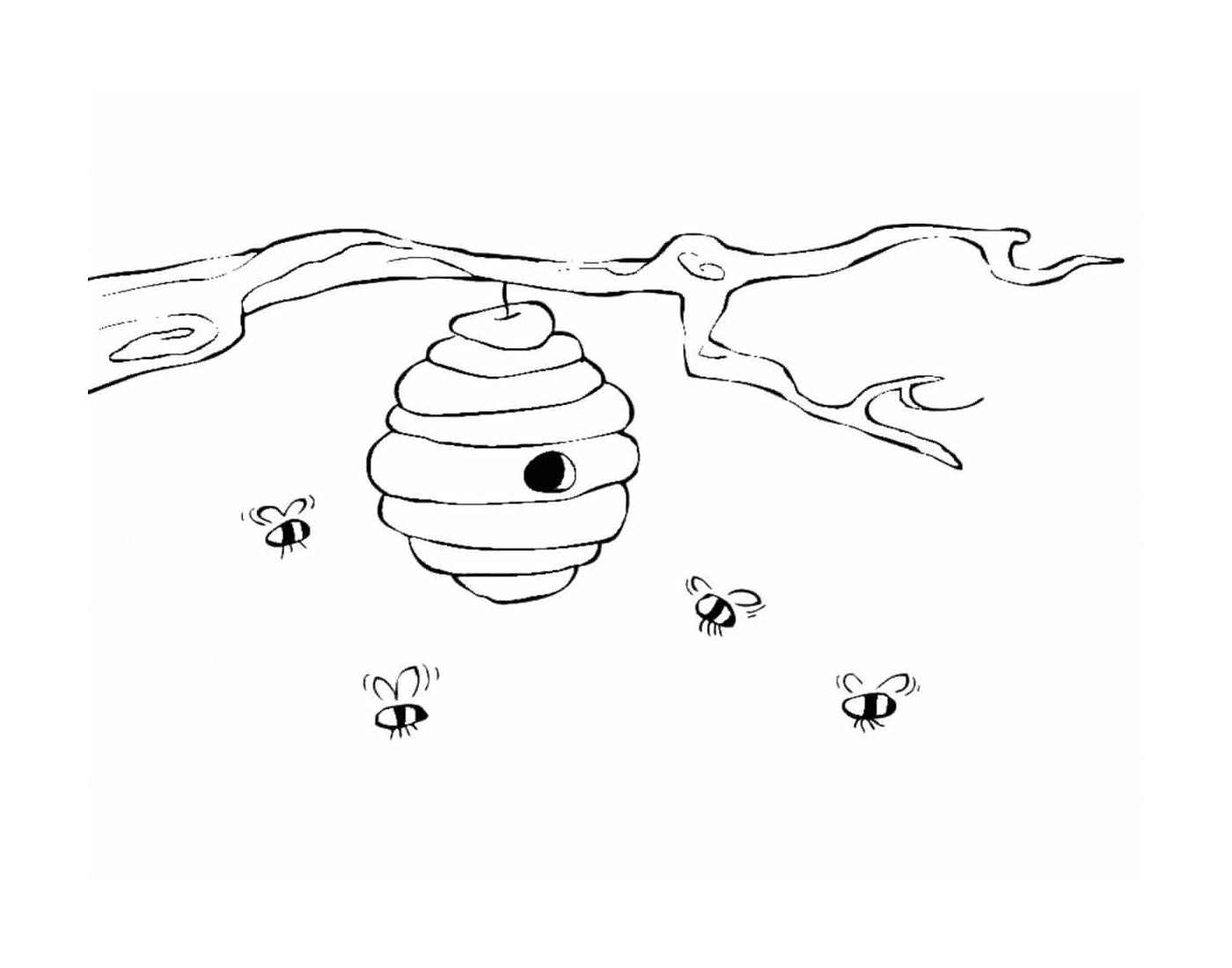  Habitat natural de abelha 