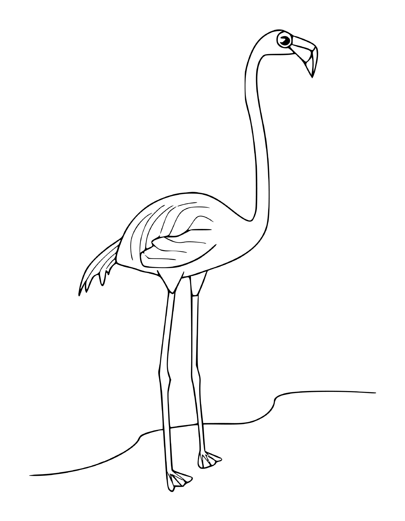  rosa flamingo em pé na água 