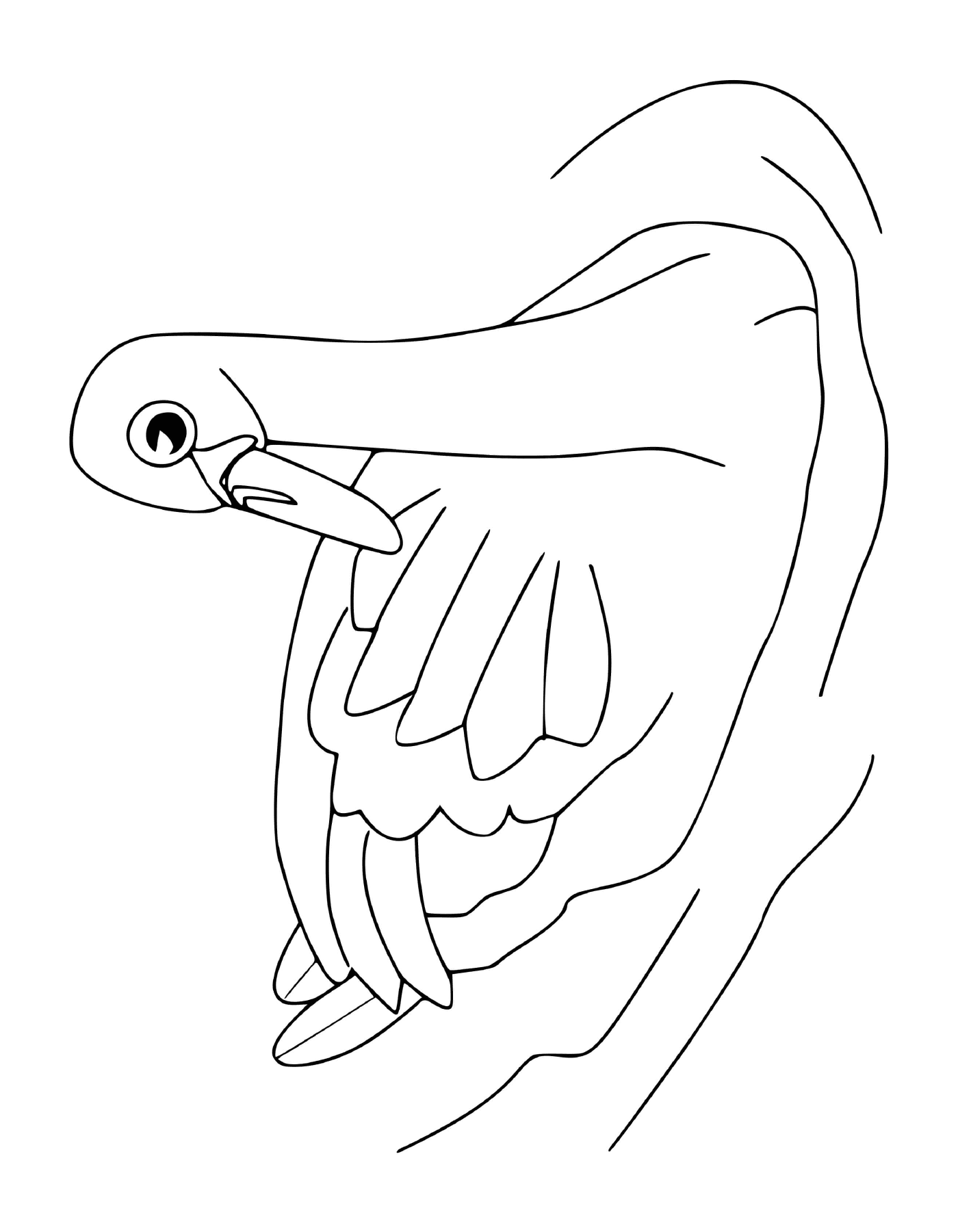  Cisne com asas expandidas 