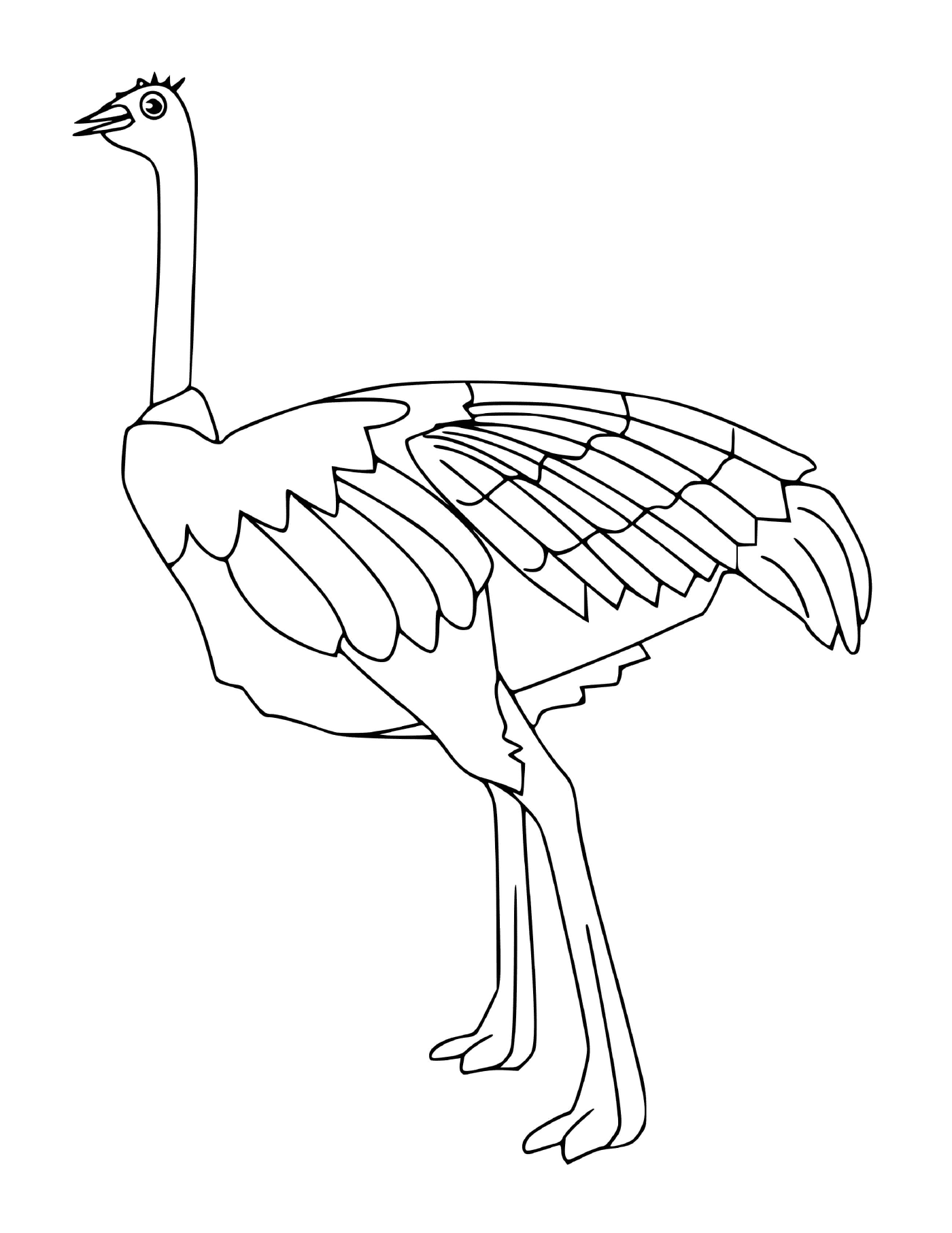  avestruz 