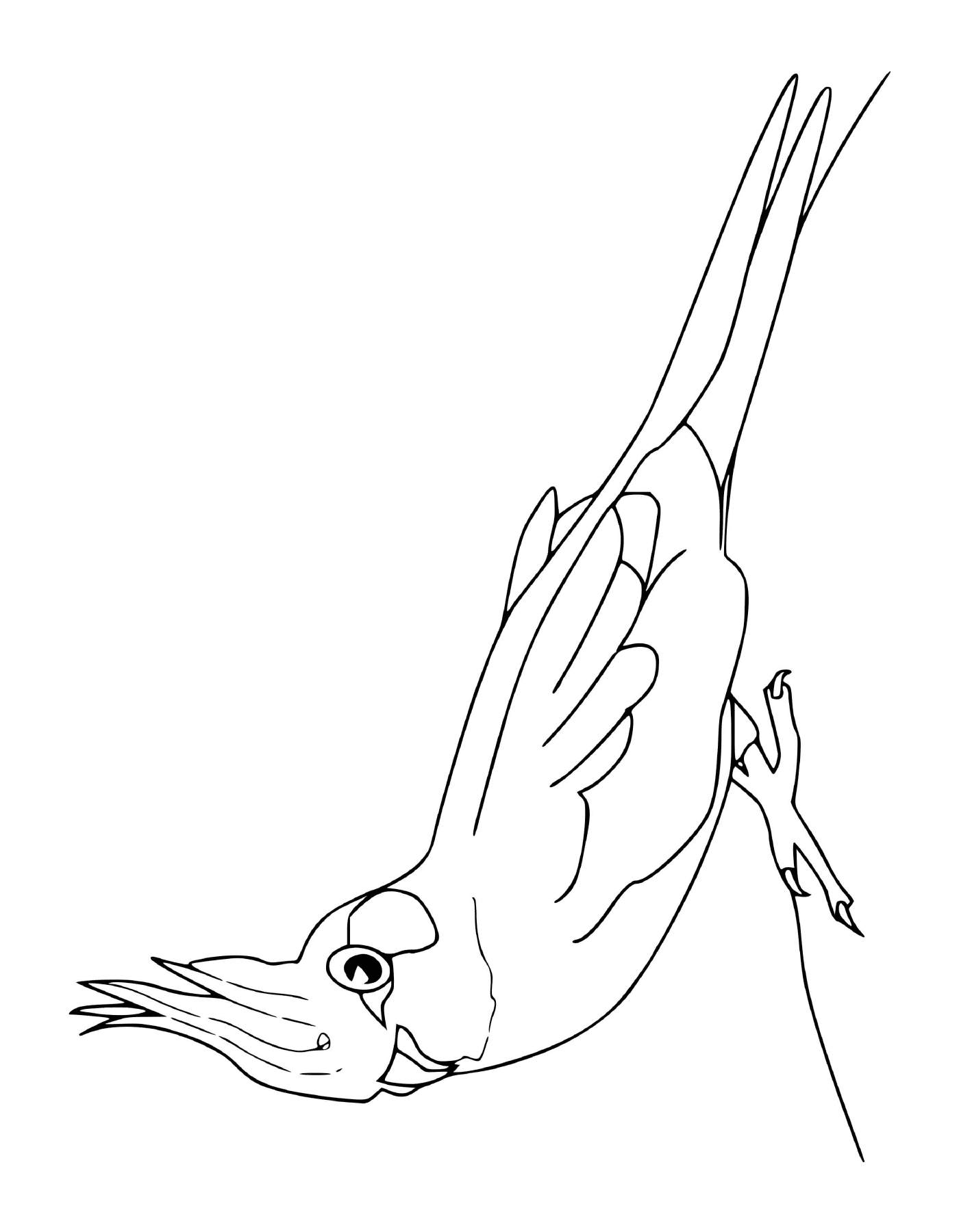  pássaro estendendo suas asas 