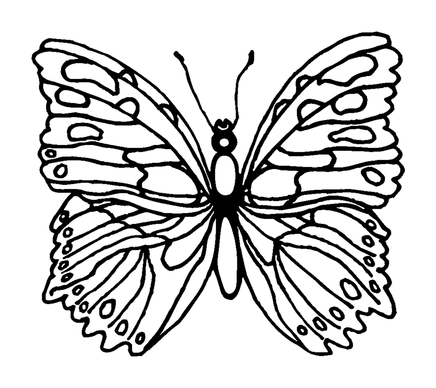  borboleta delicada e graciosa 