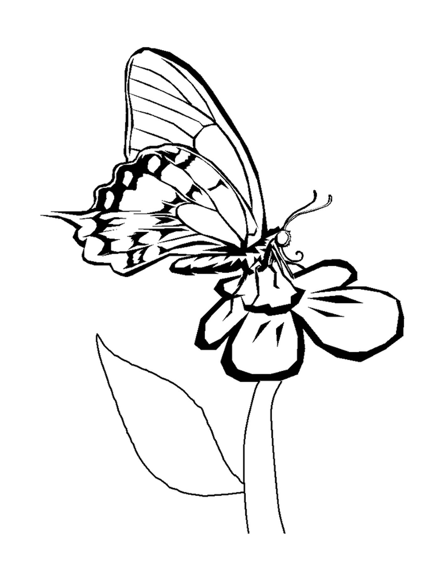  borboleta colocada na flor 