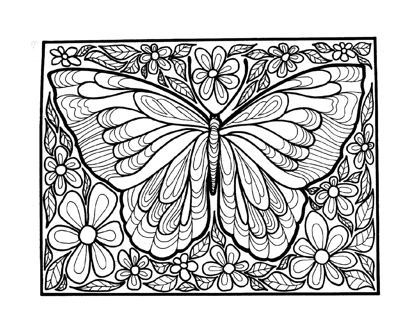  borboleta adulta com asas 