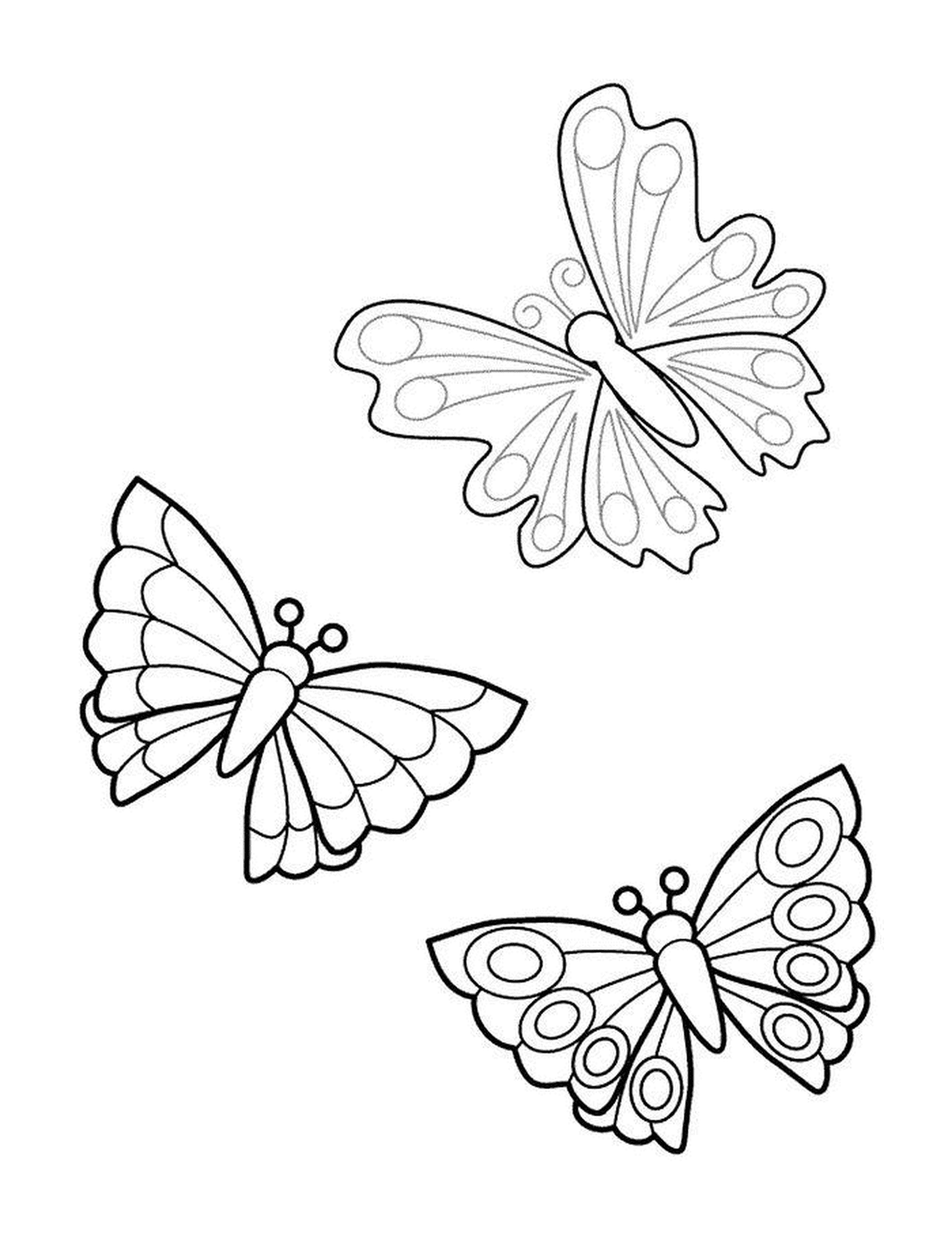  trio de borboletas voadoras 