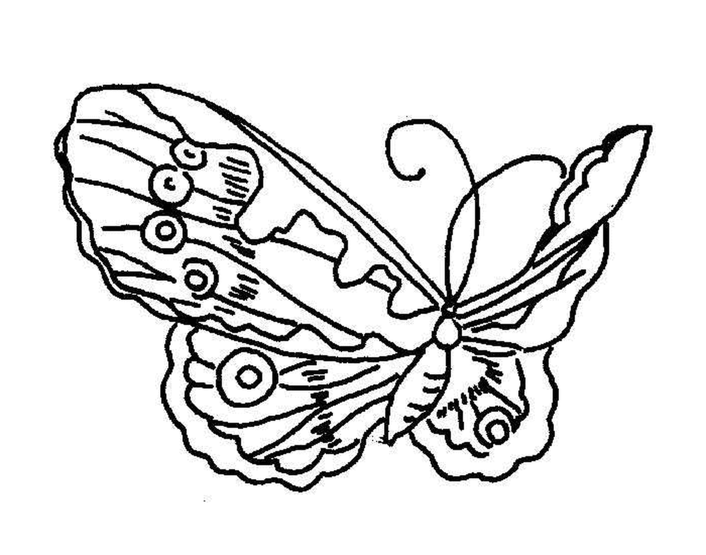  सुन्दर और पतली तितली 