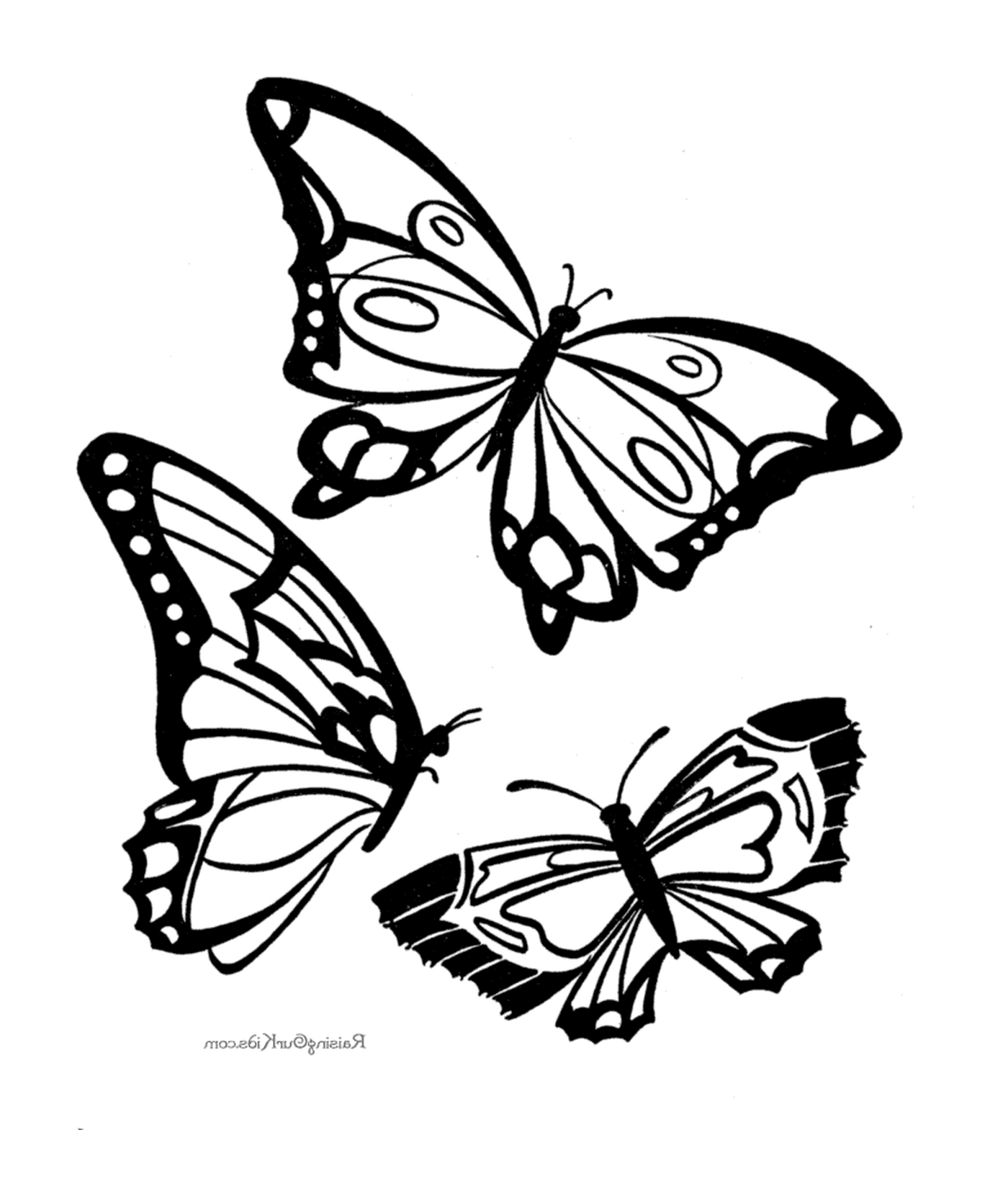  Três desenhos de borboleta preto e branco 