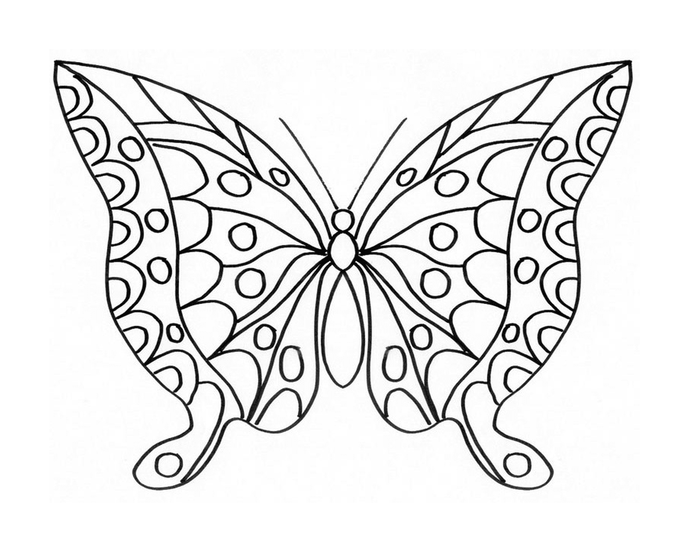  薄薄的蝴蝶,有闪闪的翅膀 