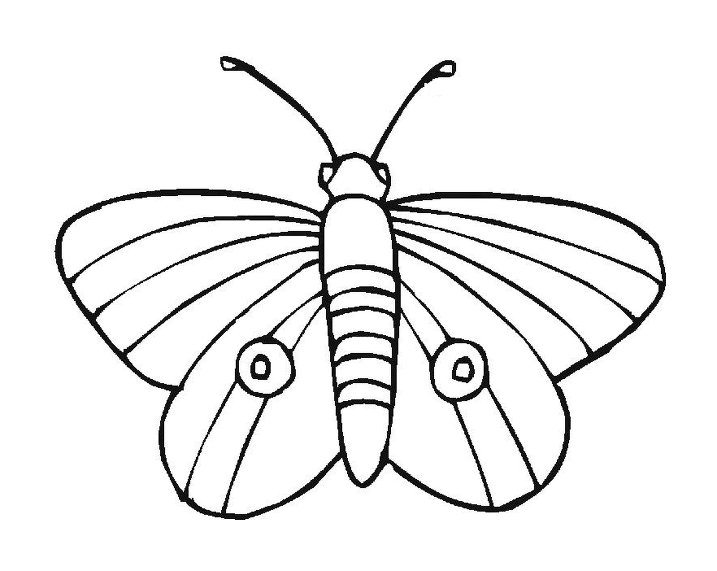  带有独特图案的重复的蝴蝶 