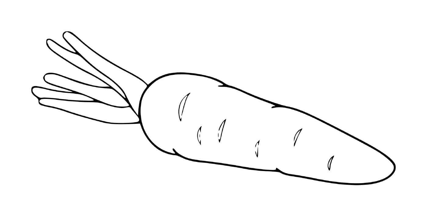  Cenoura única, uma cenoura em um fundo branco 