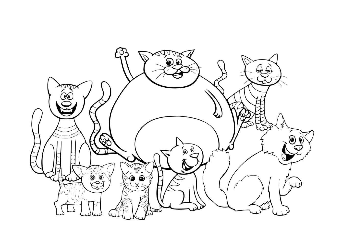  अलग - अलग आकारों के बिल्ली और बिल्लियाँ साथ मिलकर 
