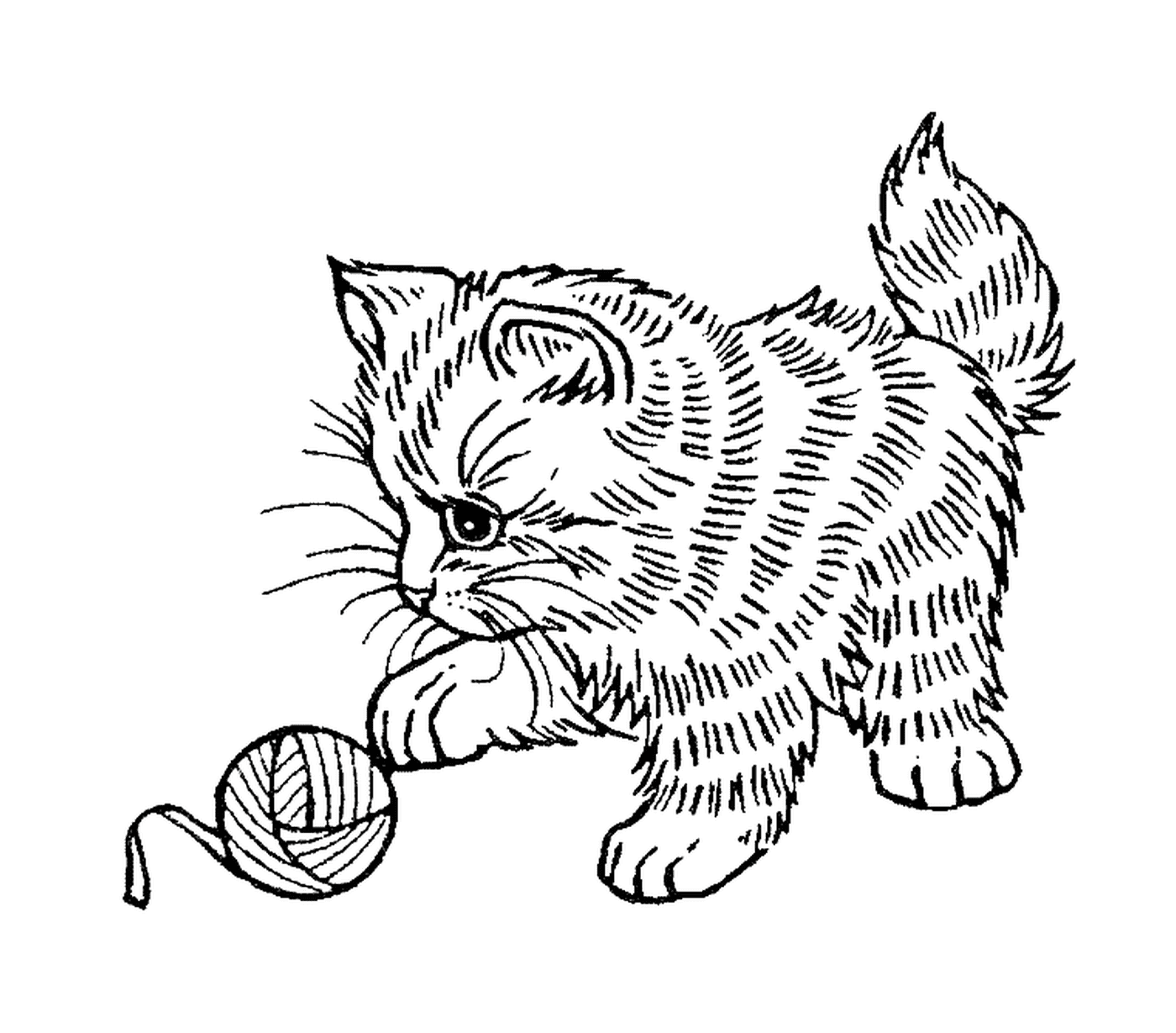  Um lindo gato brincando com uma bola de lã 