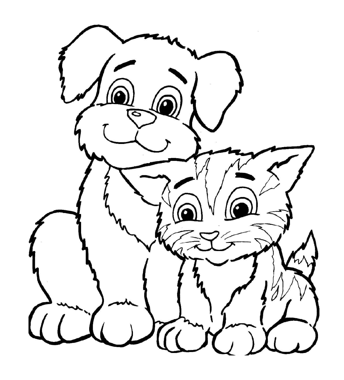  一只猫和一条狗 并肩并肩坐在一起 