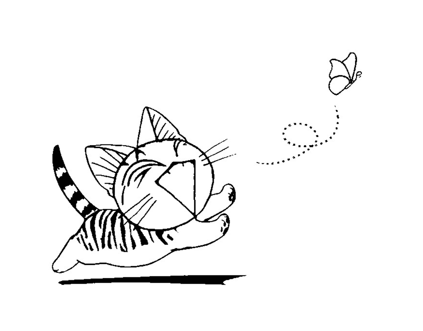  Um gato chinês correndo atrás de uma borboleta 